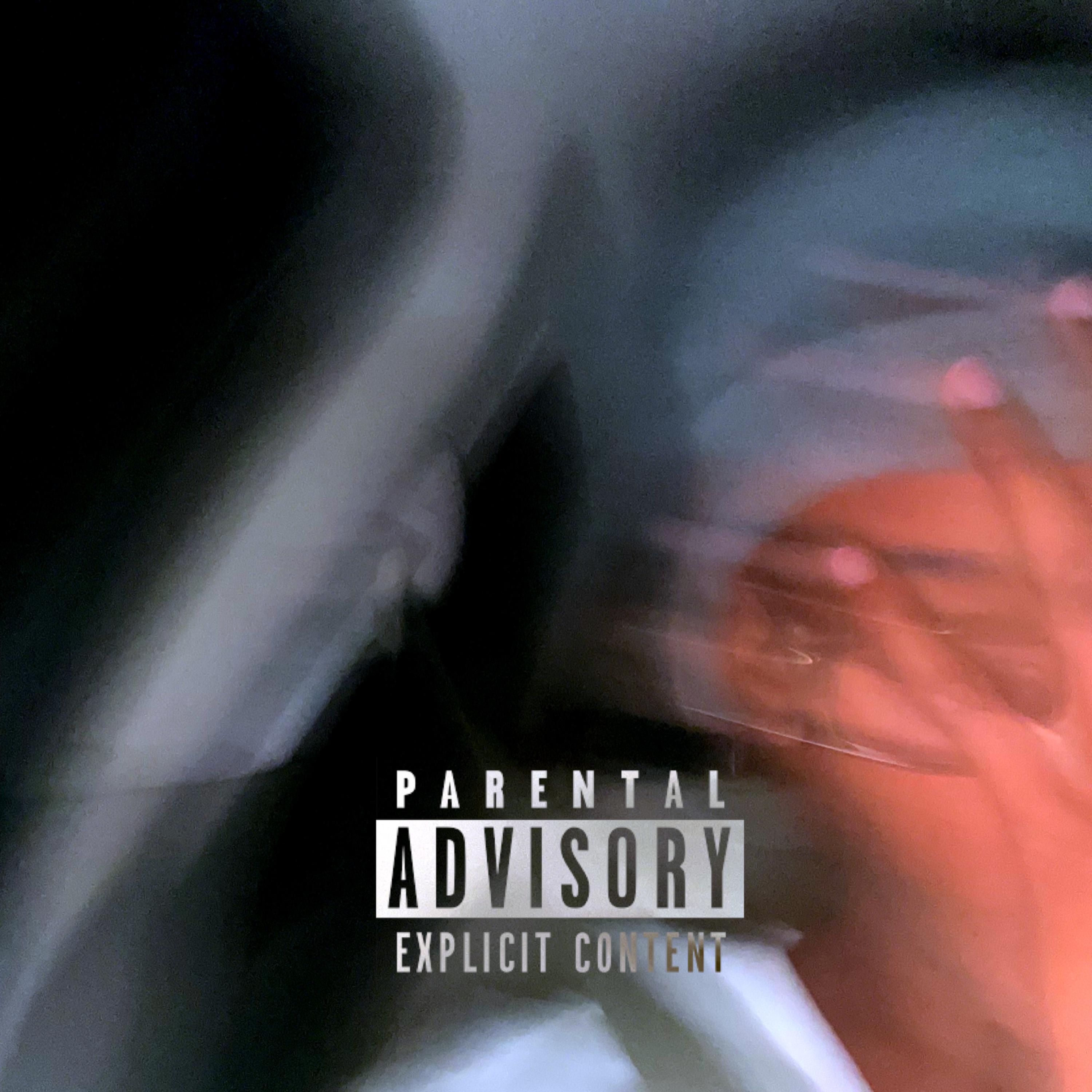 TALKIN by Mr. Wyoming cover art