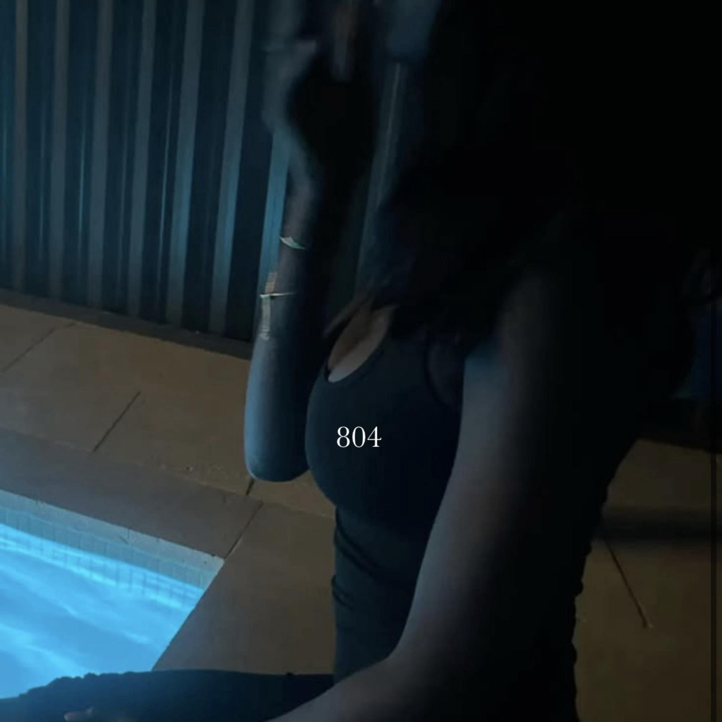 804 by CANTBUYHERBIRKIN cover art