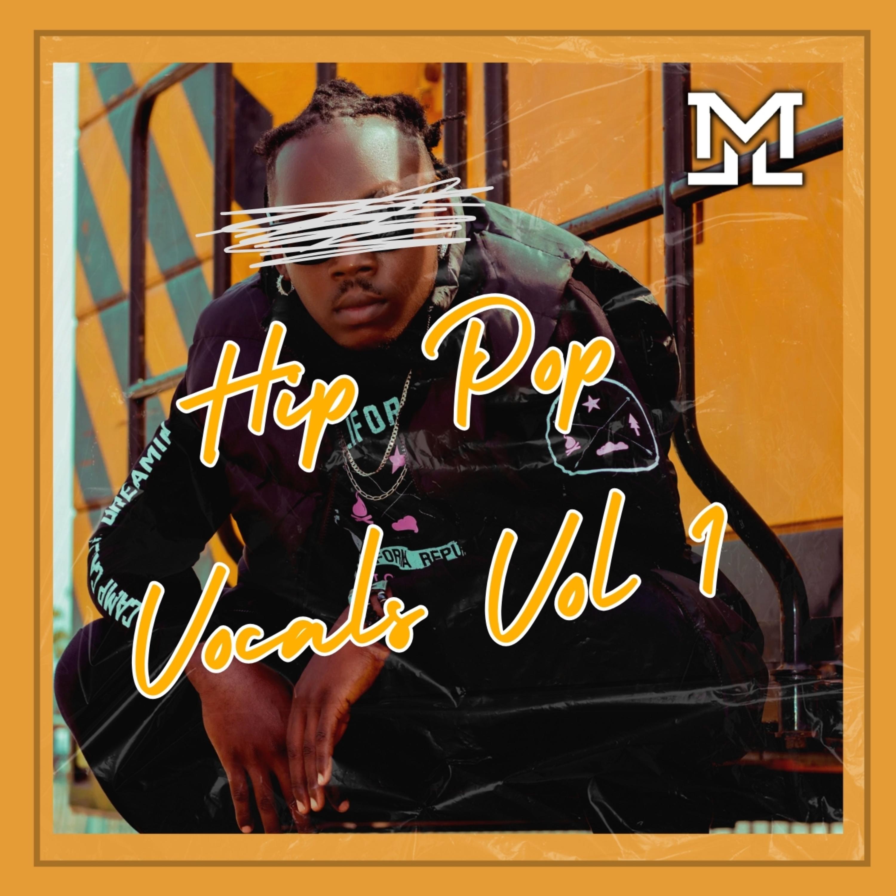 Hip Pop Vocals Vol 1 artwork