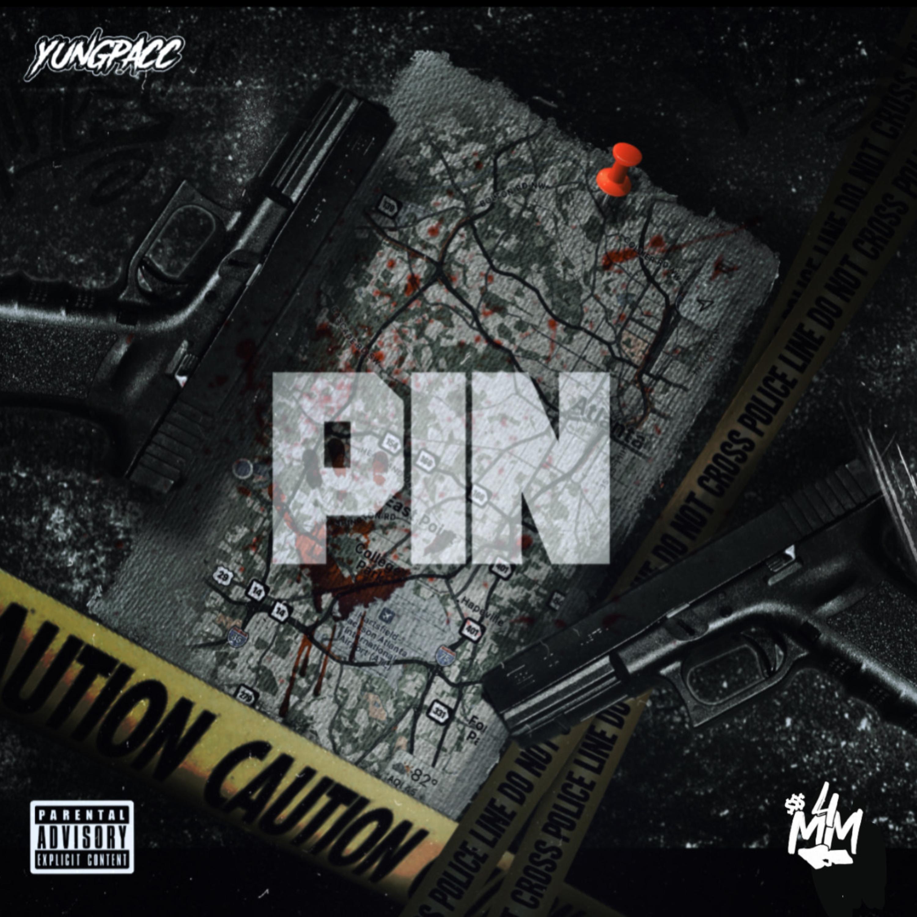 PIN artwork