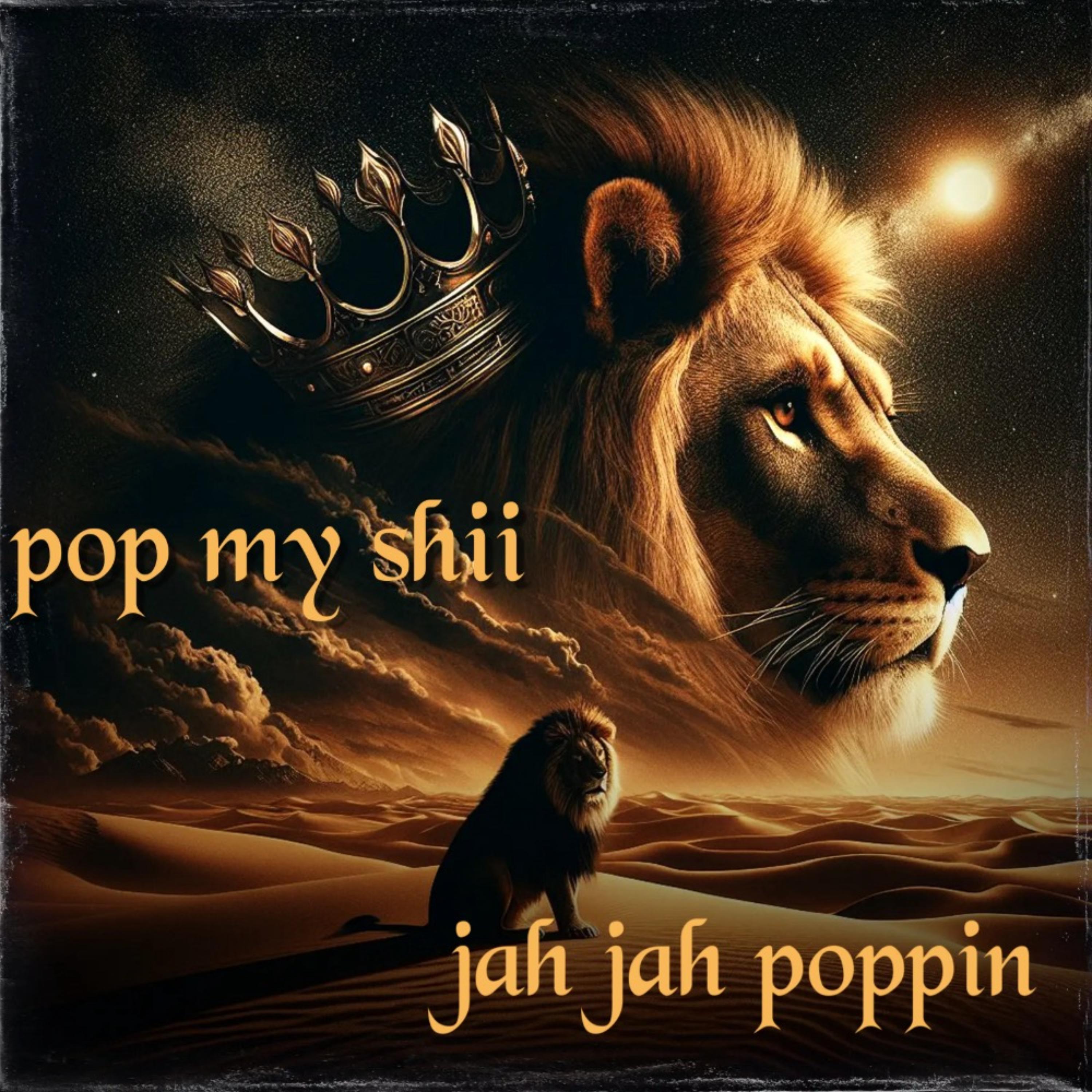POP MY SHII artwork