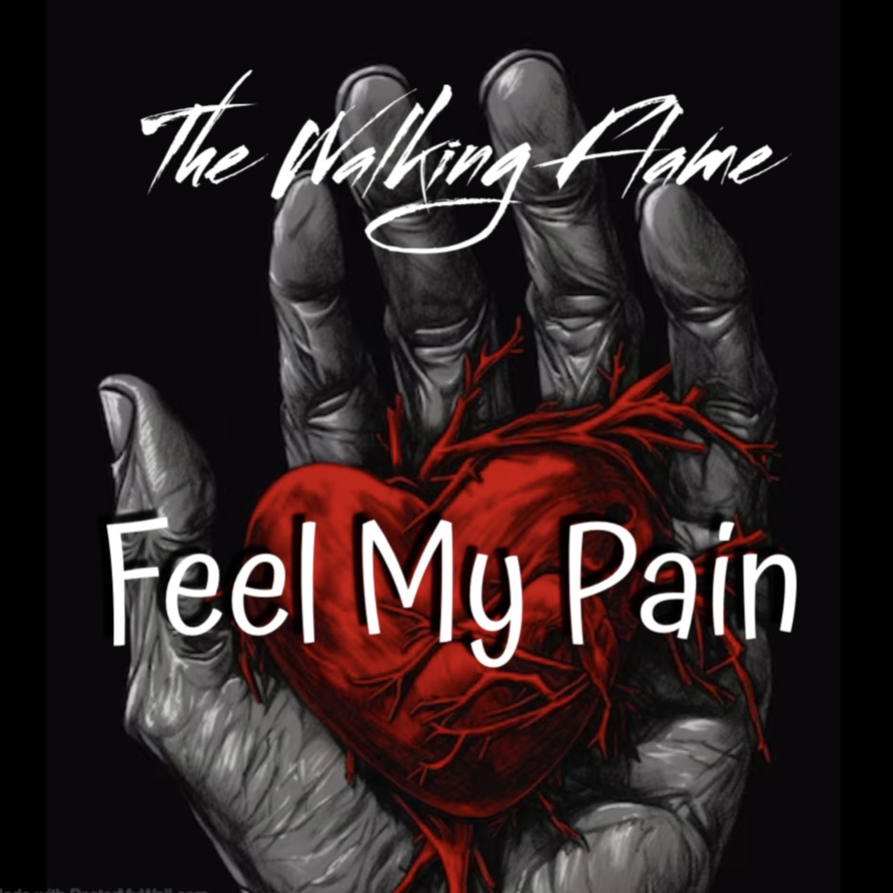 Feel My Pain artwork