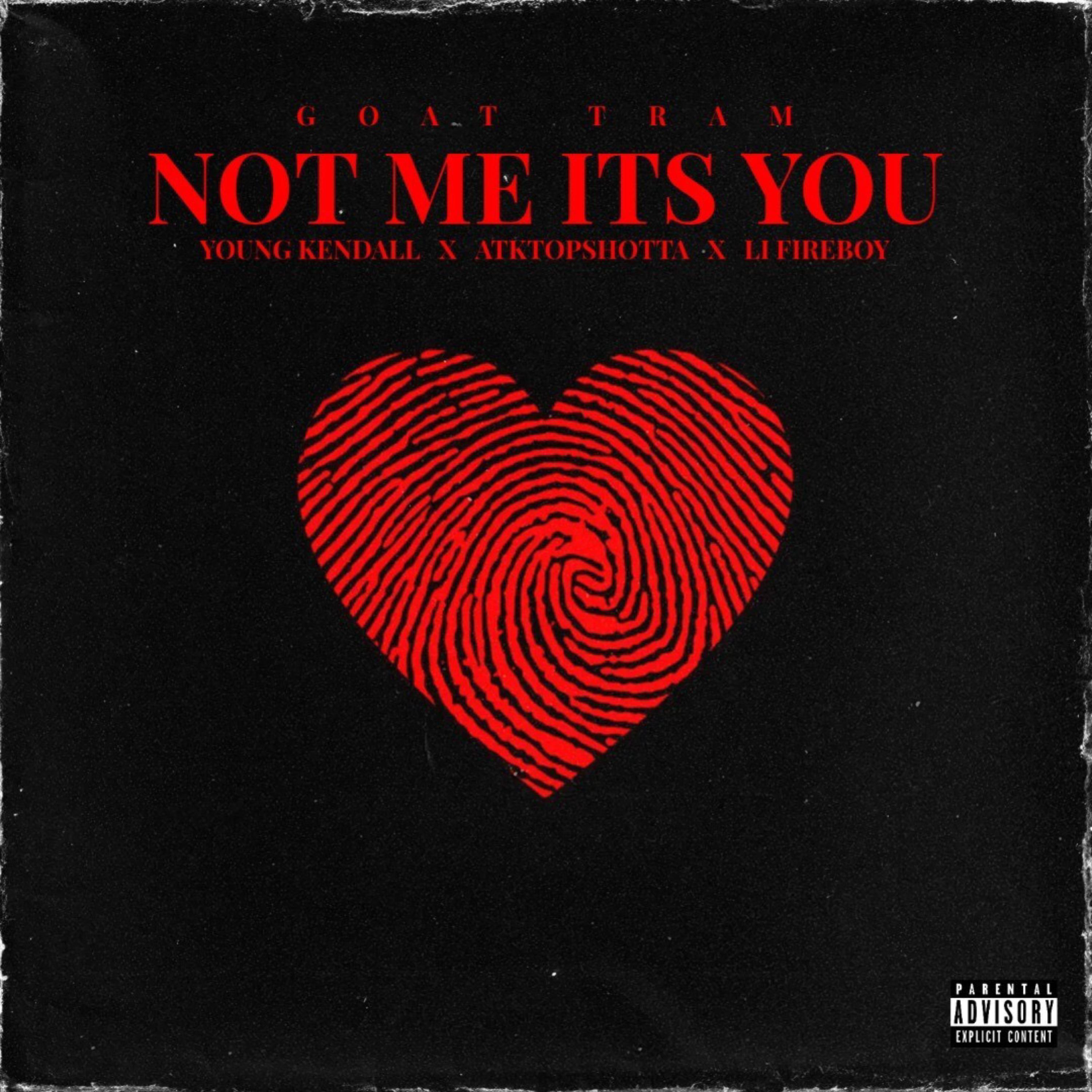 NOT ME IT'S YOU artwork