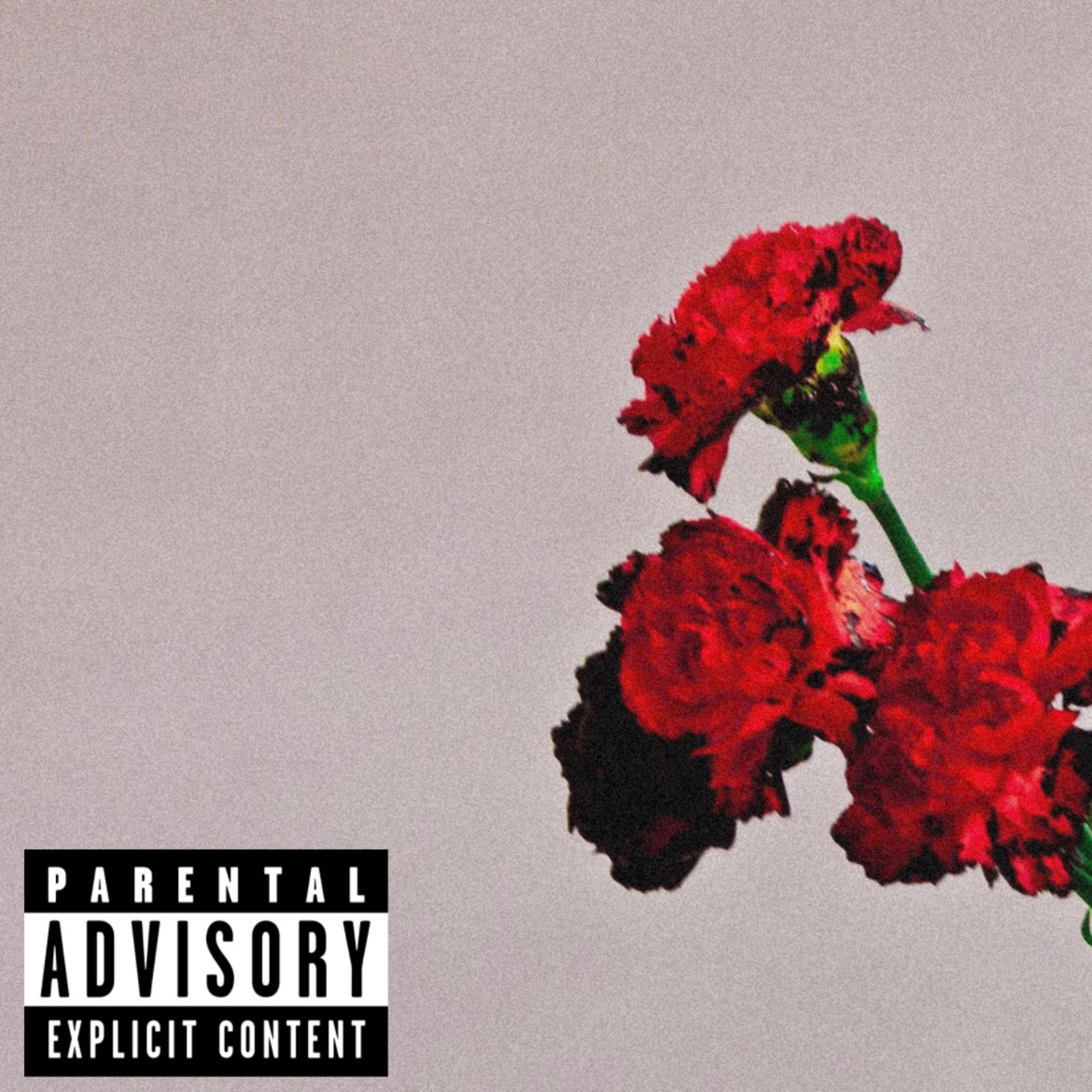 Roses For You by DellGangJaydee cover art