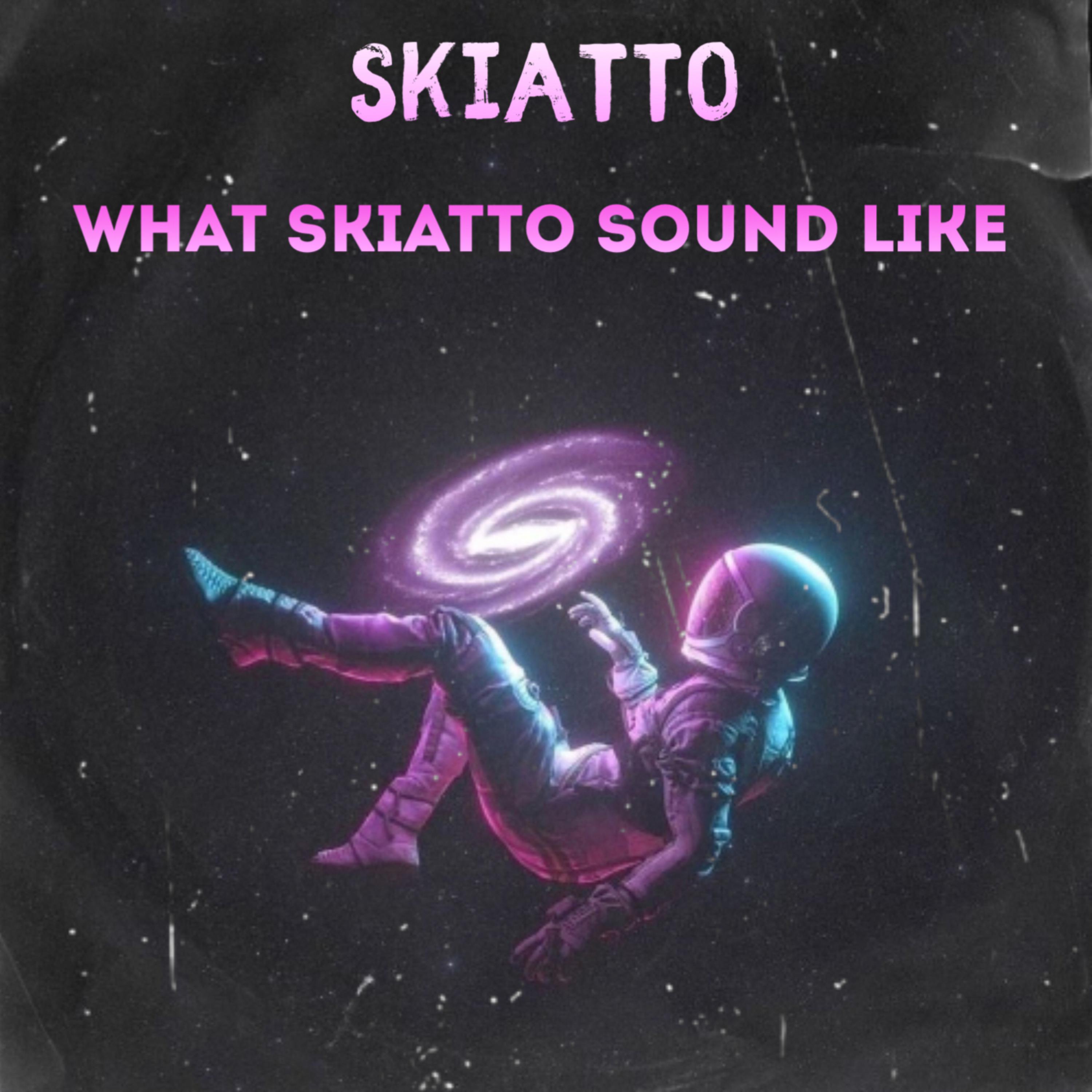 What Ski Sound Like artwork