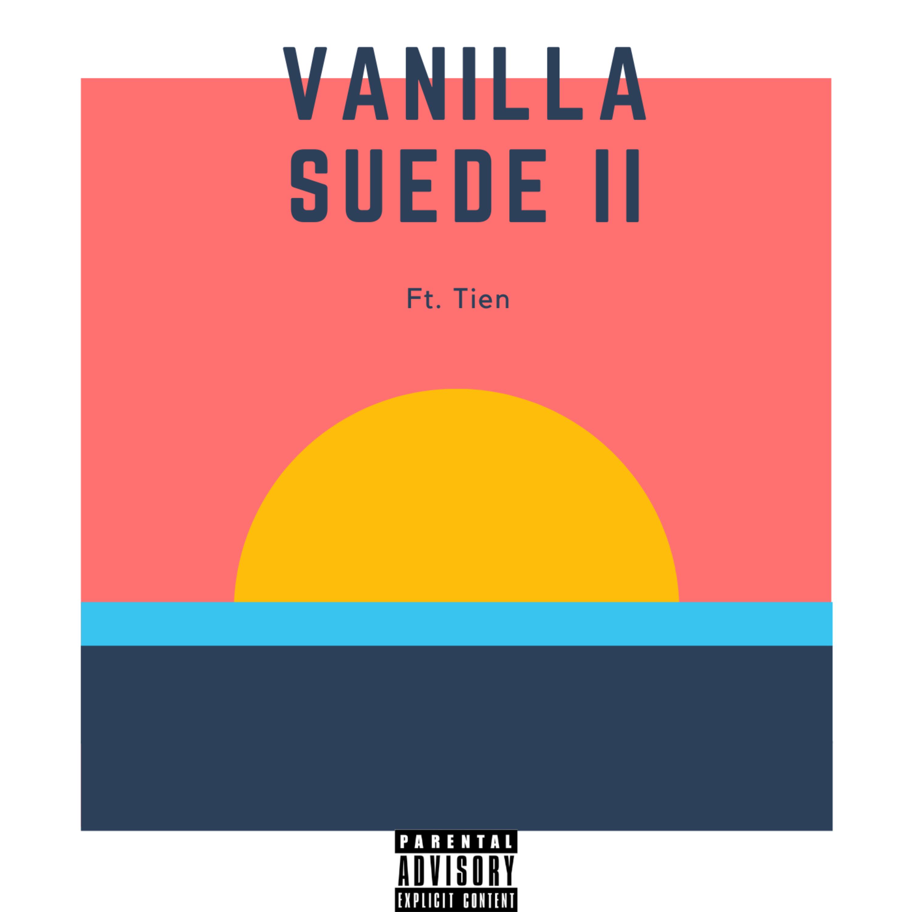 Vanilla Suede II artwork