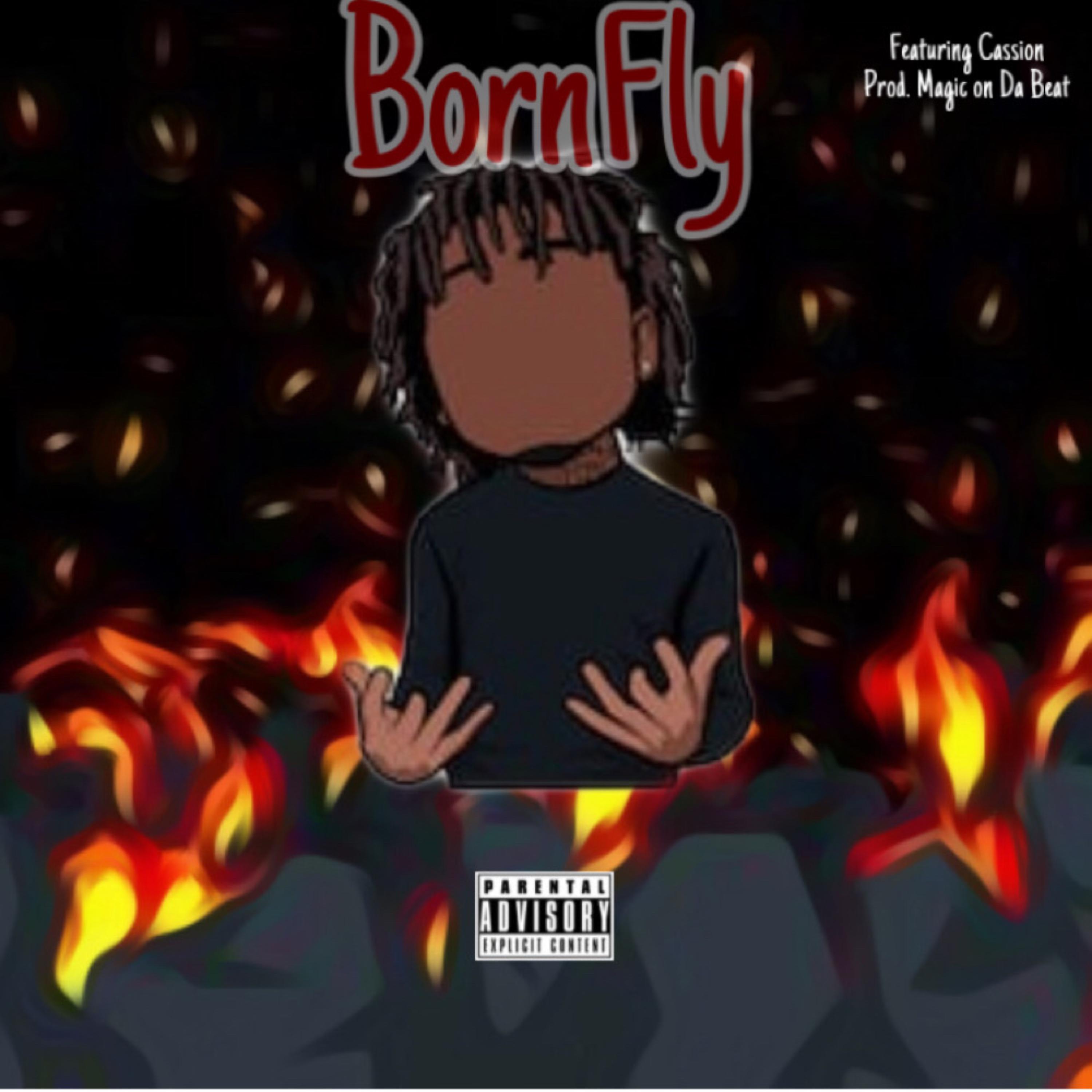 BornFly artwork