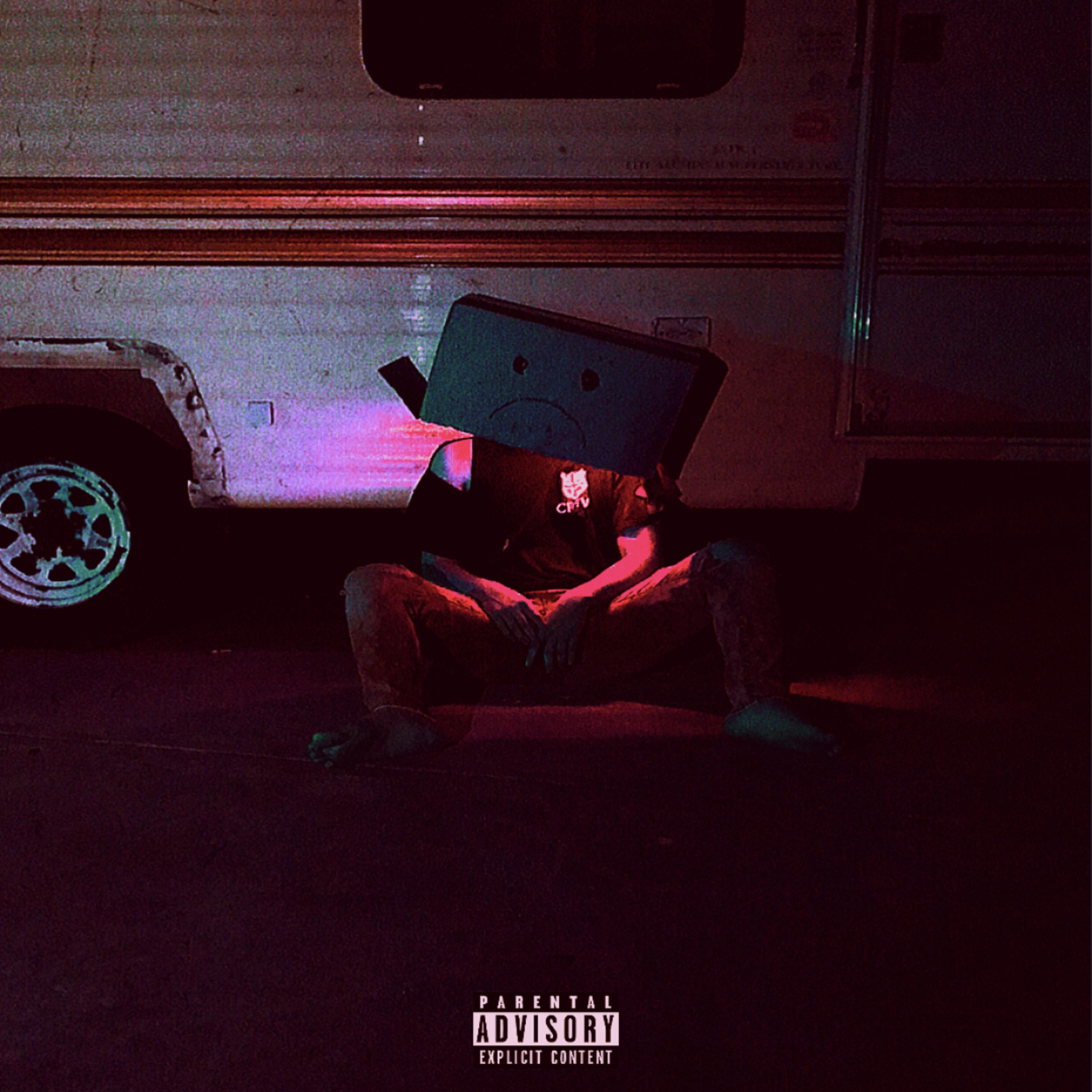 The Stray Boy (Deluxe) artwork