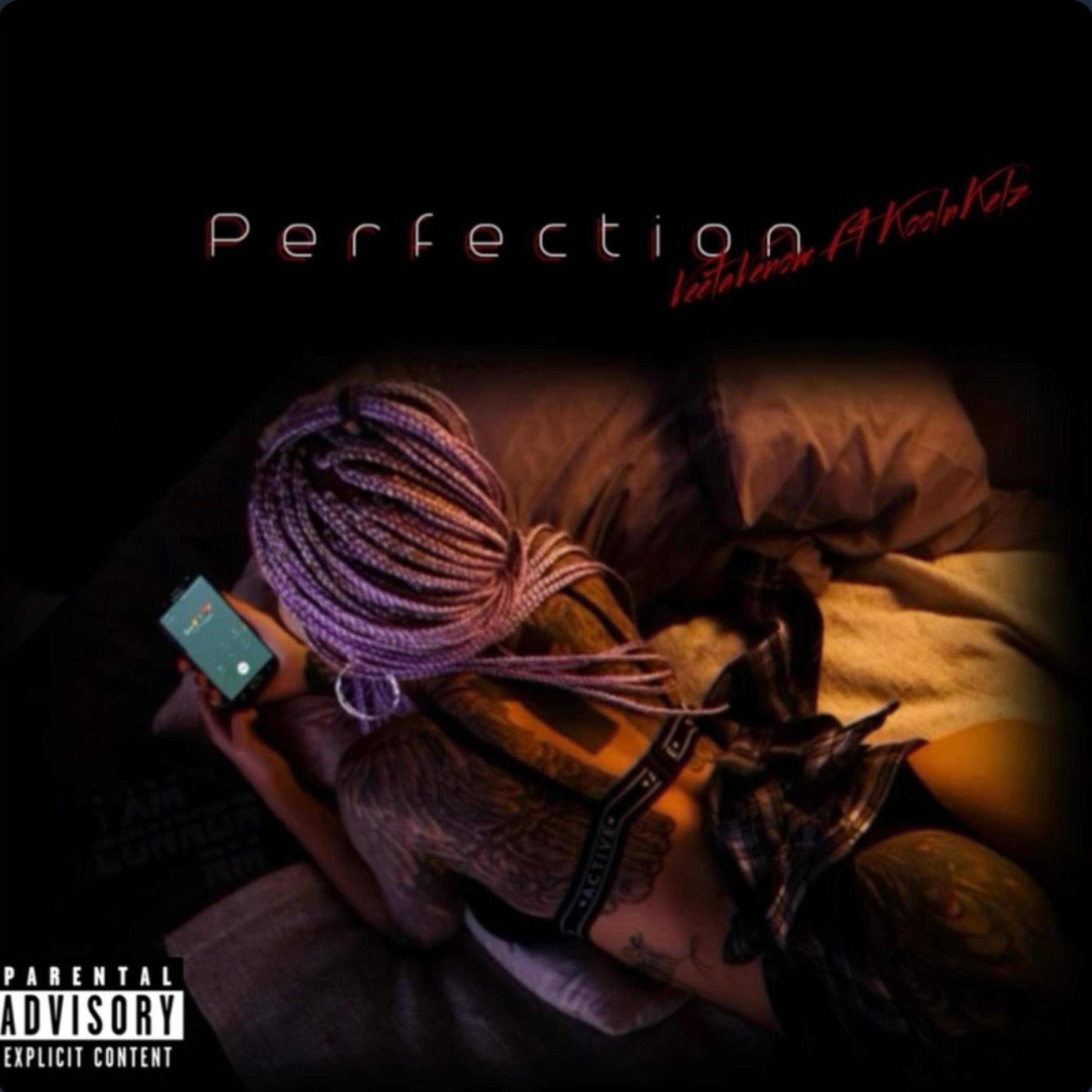 Perfection by Veeta Venom cover art
