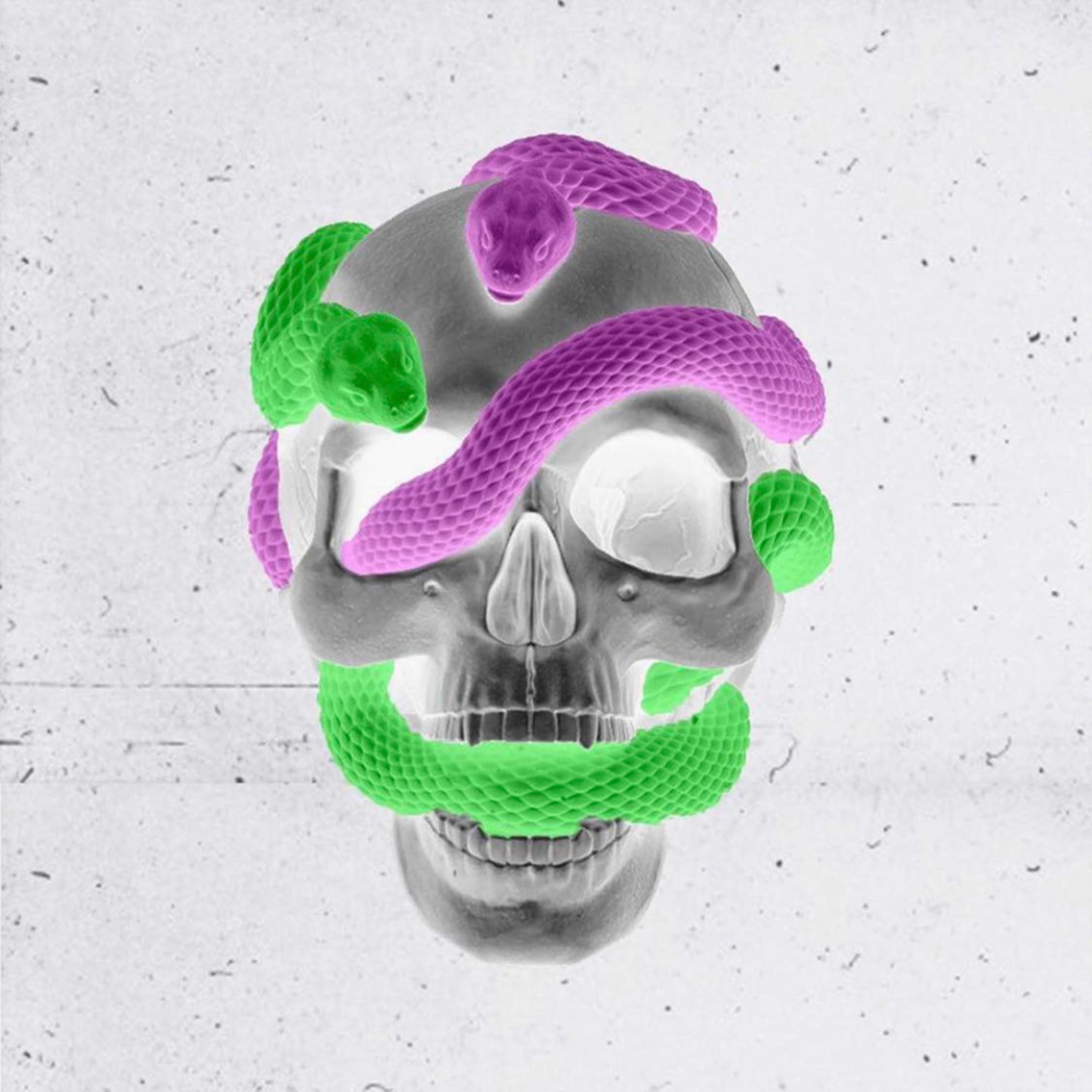Slither Wrld artwork