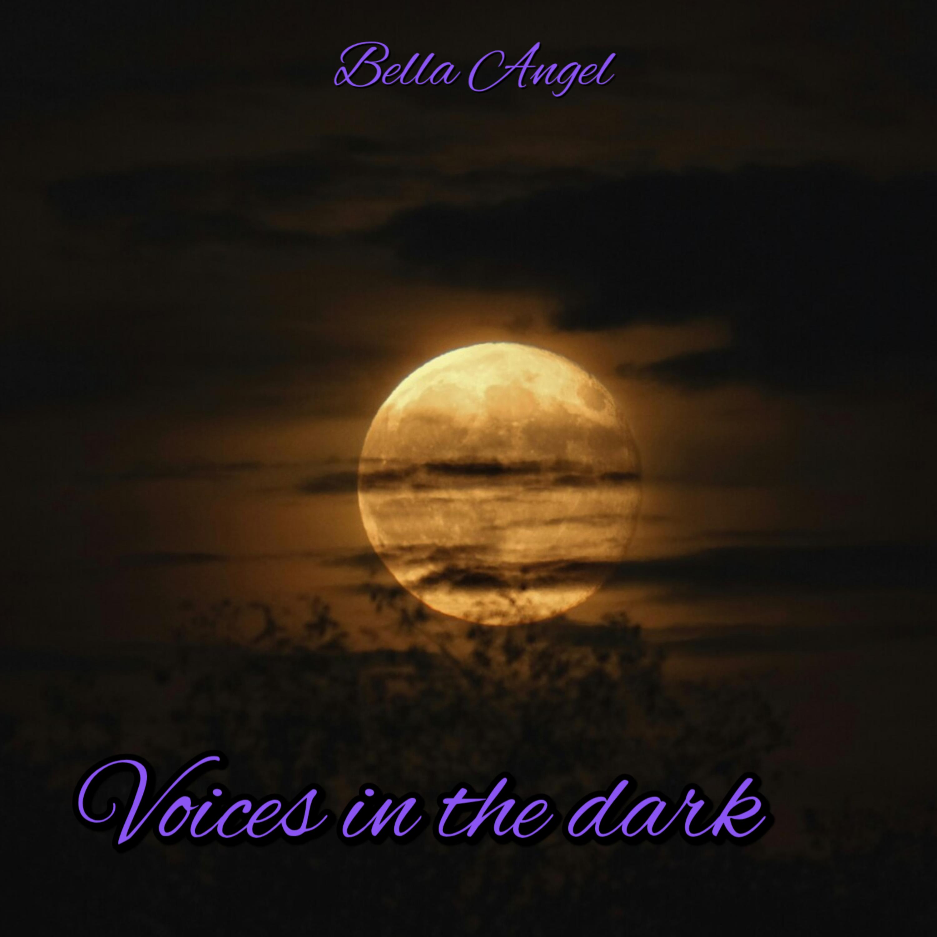Voices in the dark artwork