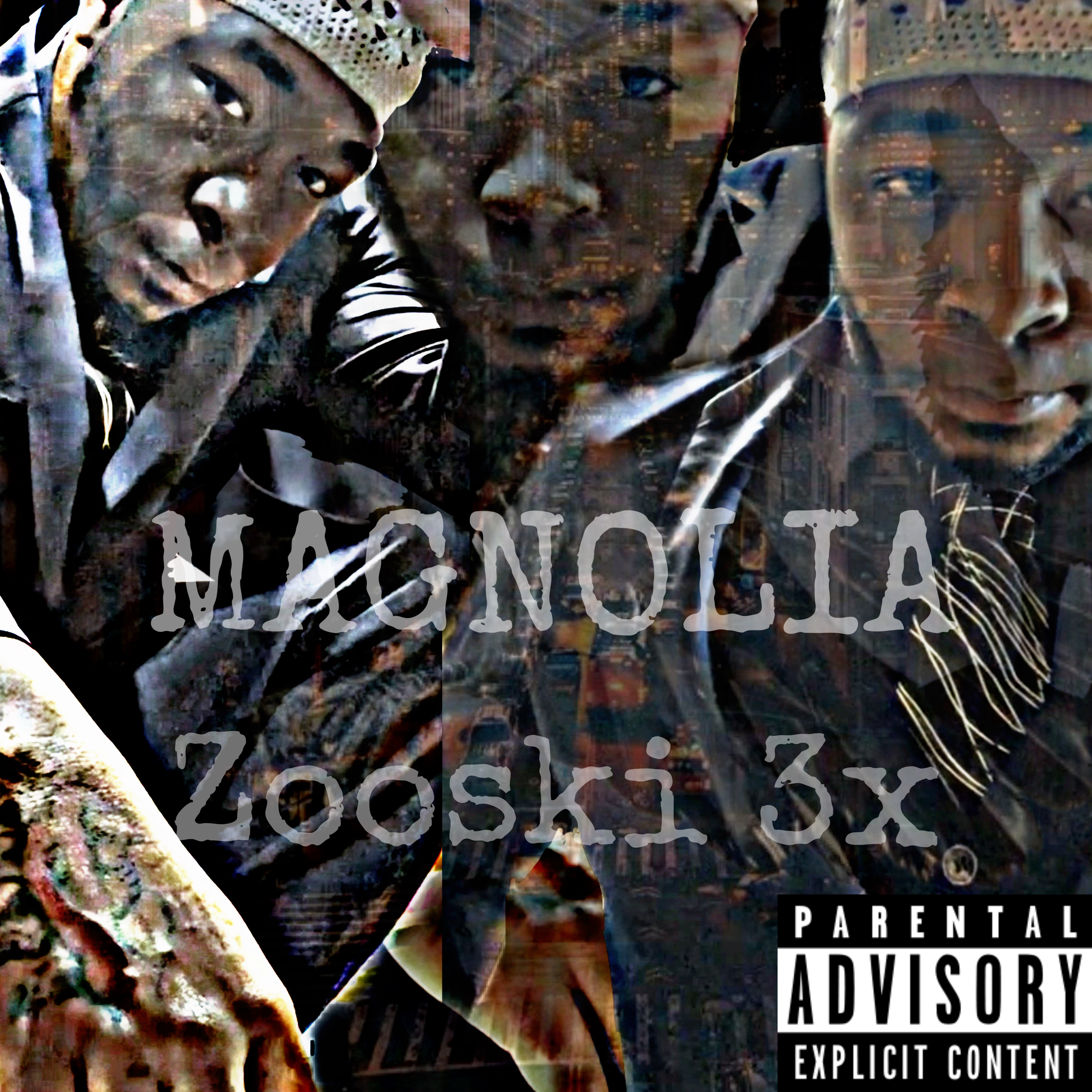 Magnolia artwork