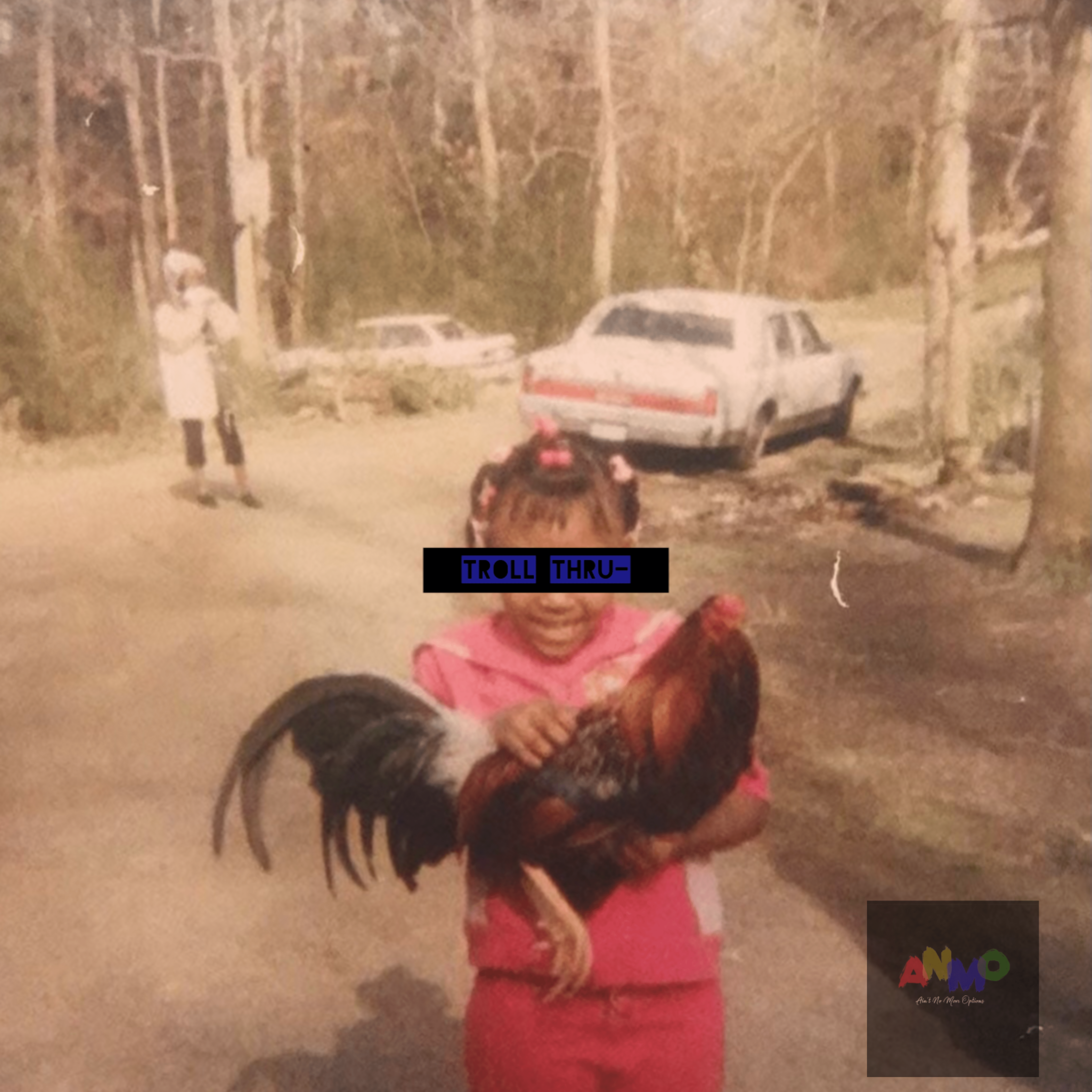Troll Thru- artwork
