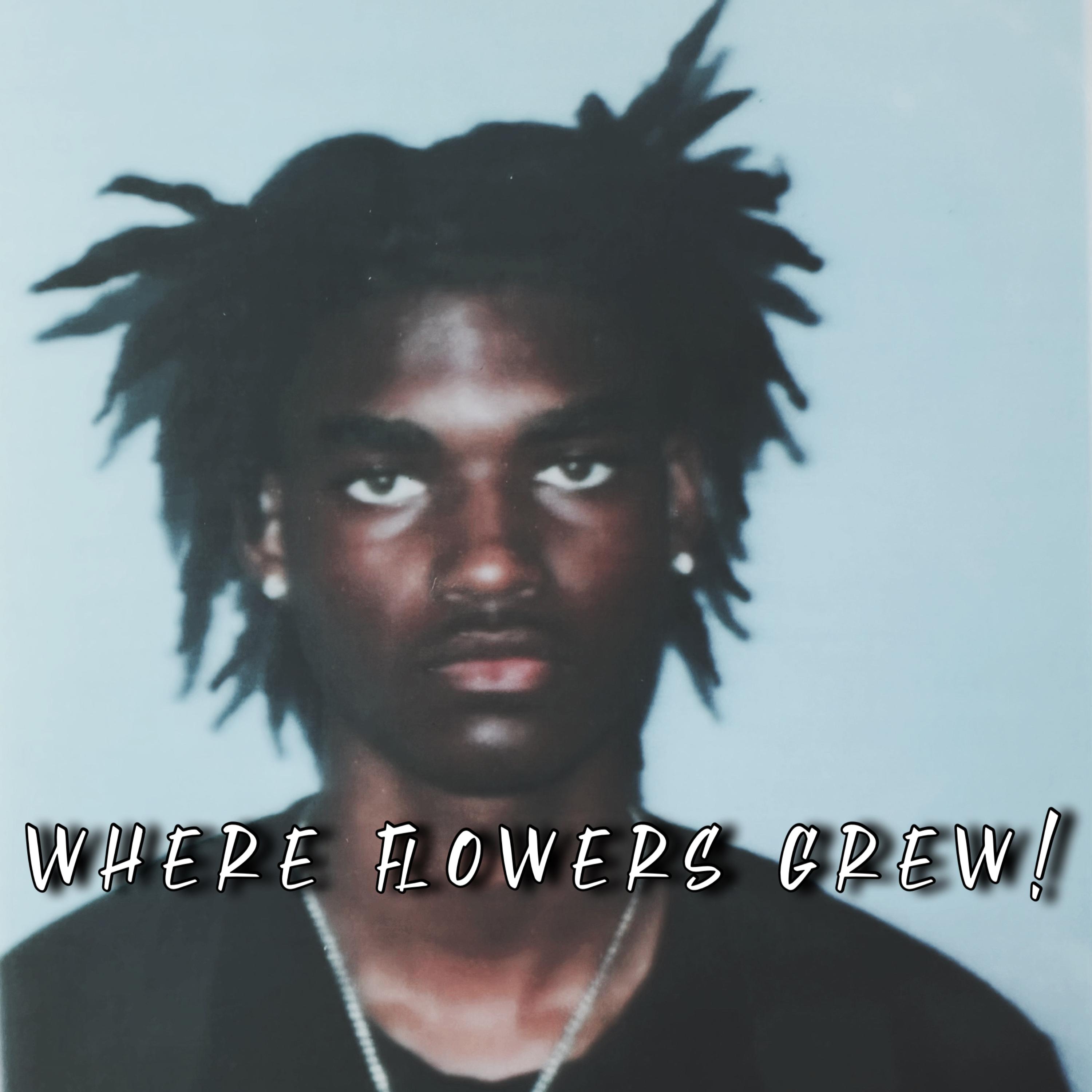 Where Flowers Grew! artwork