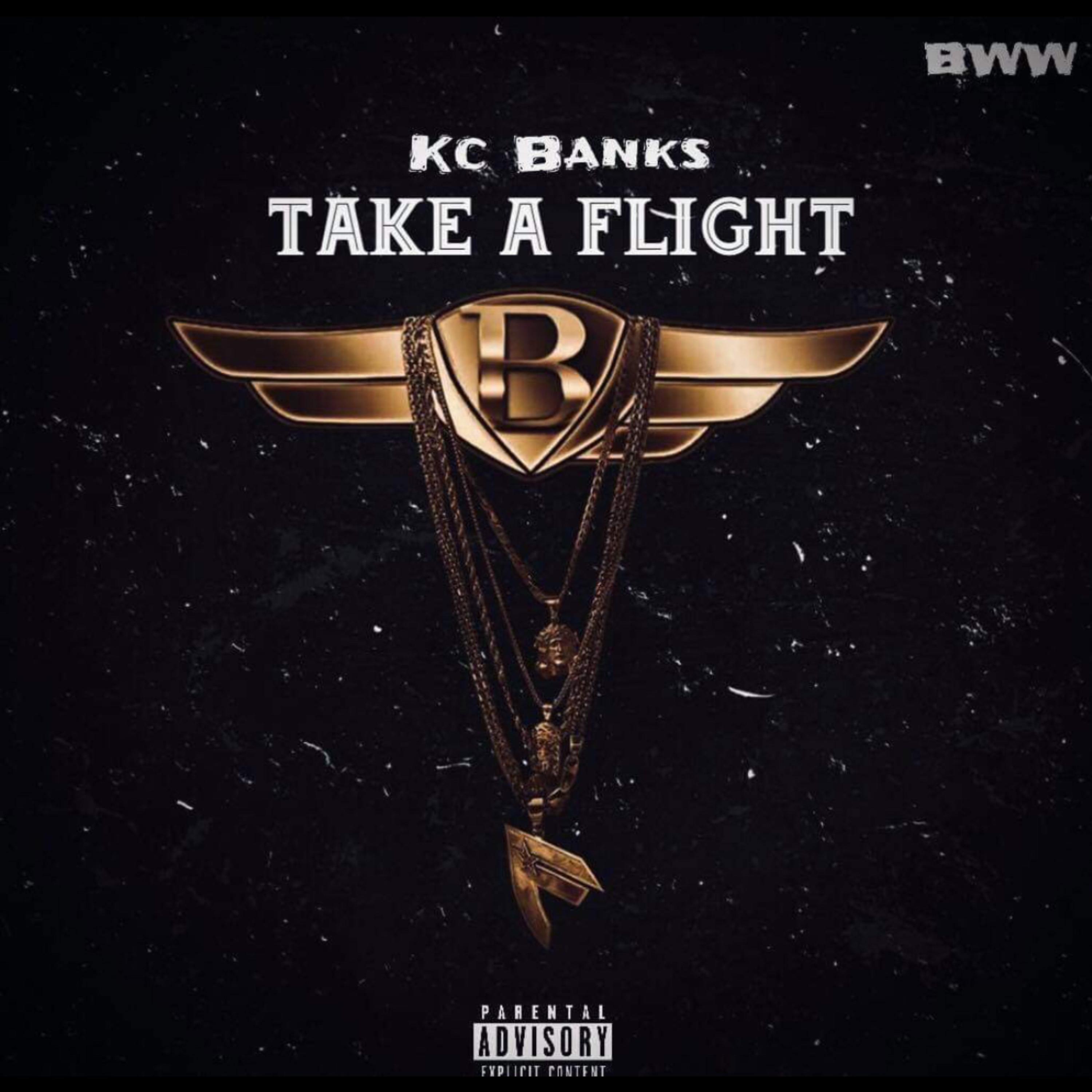 Take A Flight artwork