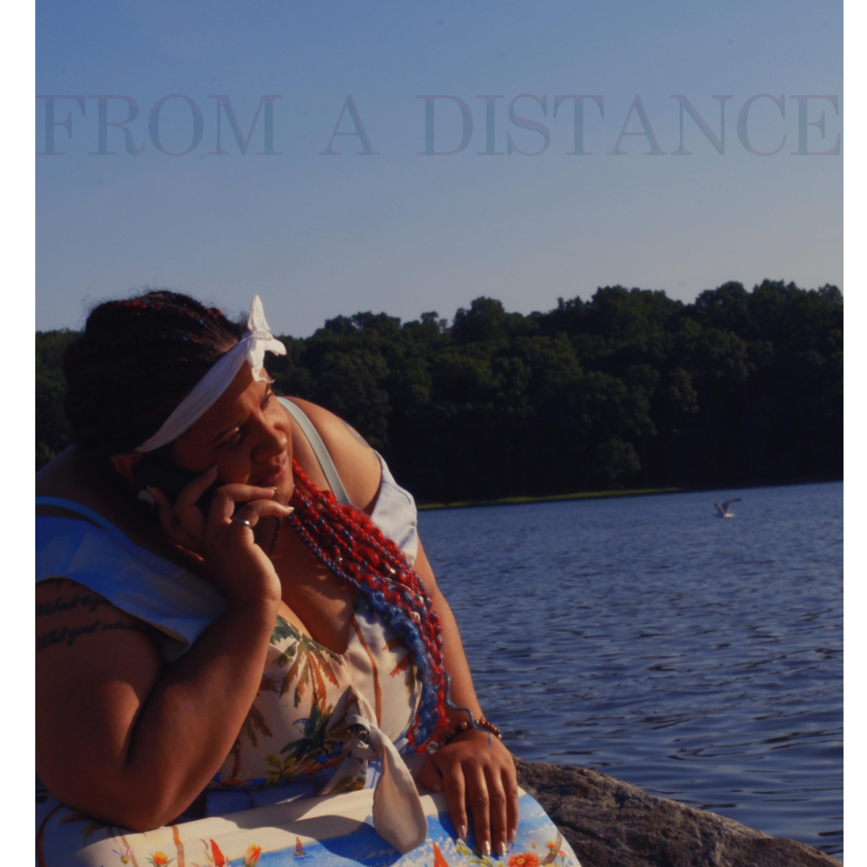 From A Distance by Starlight Warrior cover art