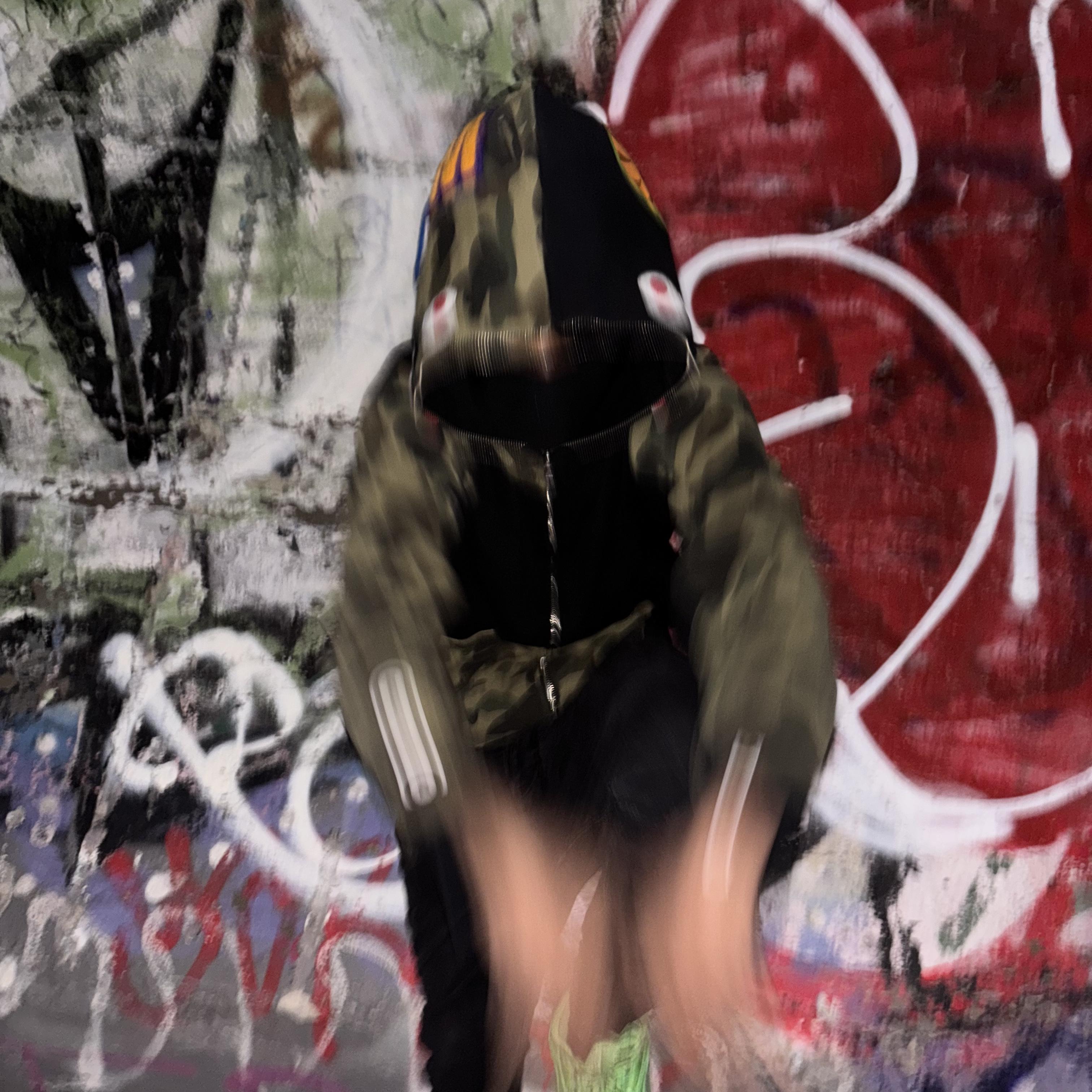 Snake In Bape artwork