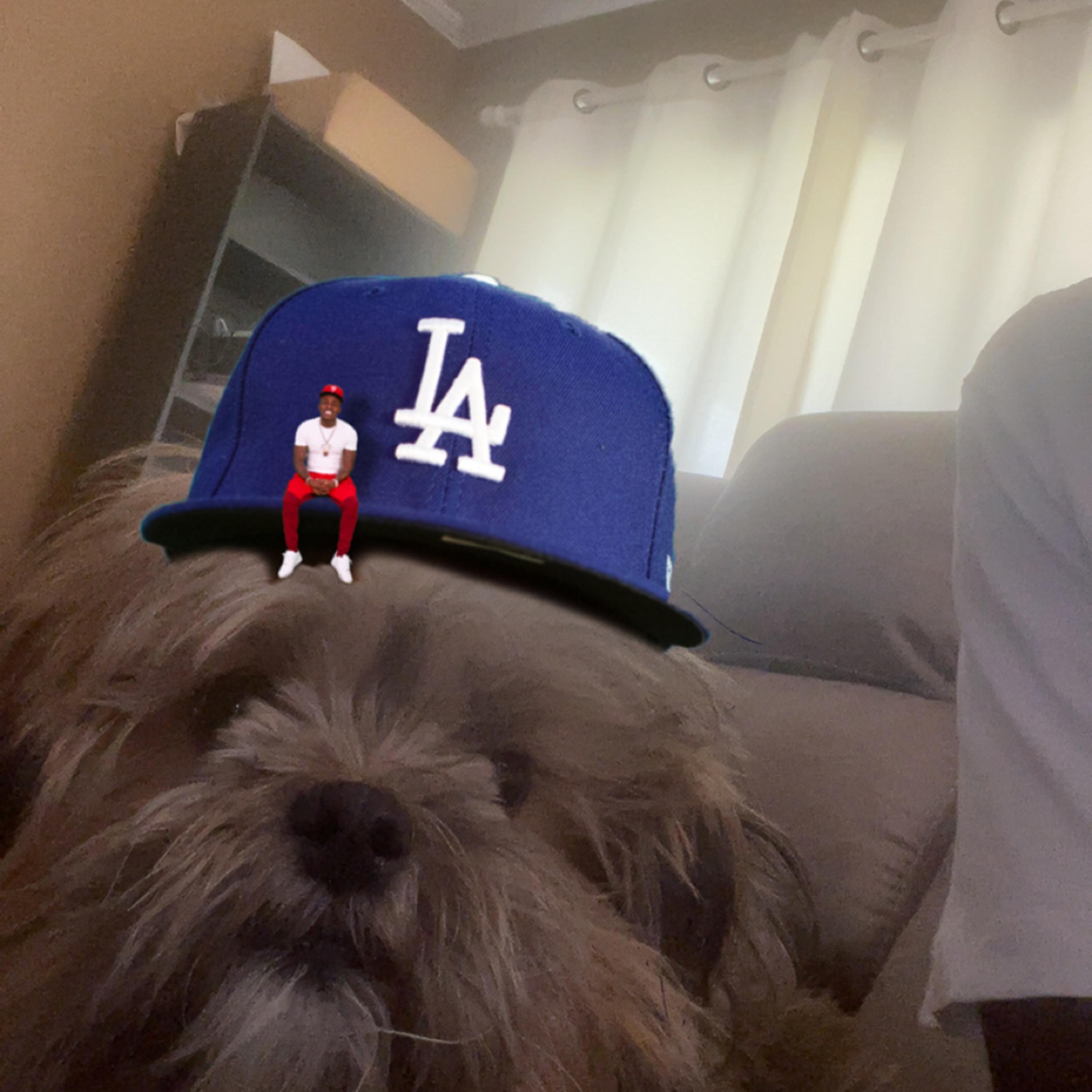 LA (drafts) artwork
