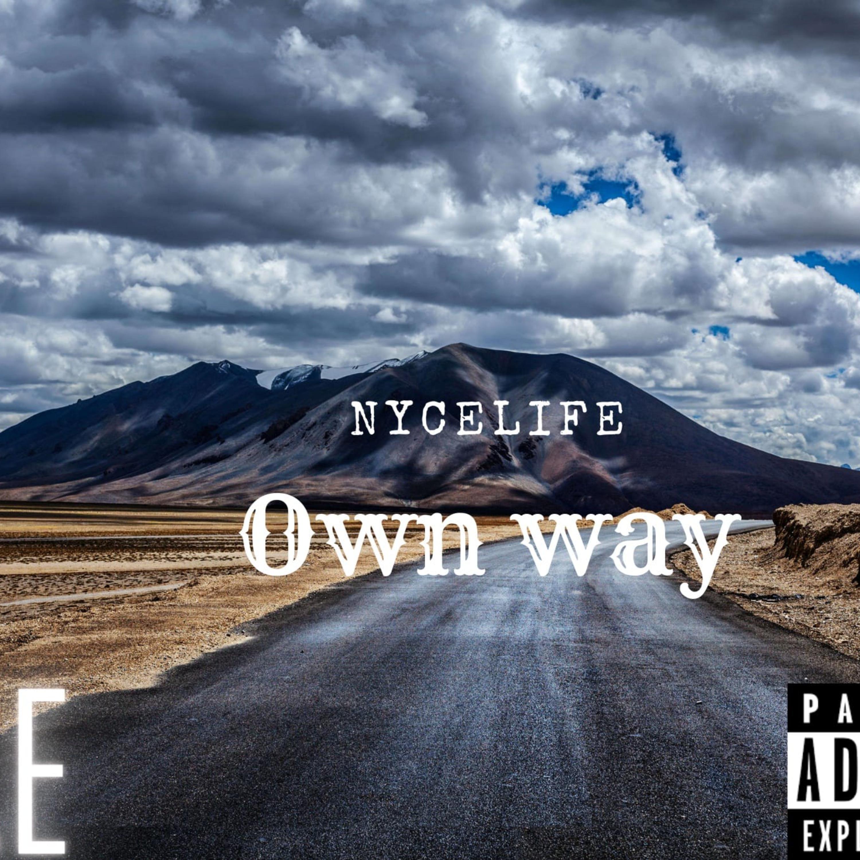 Own way artwork