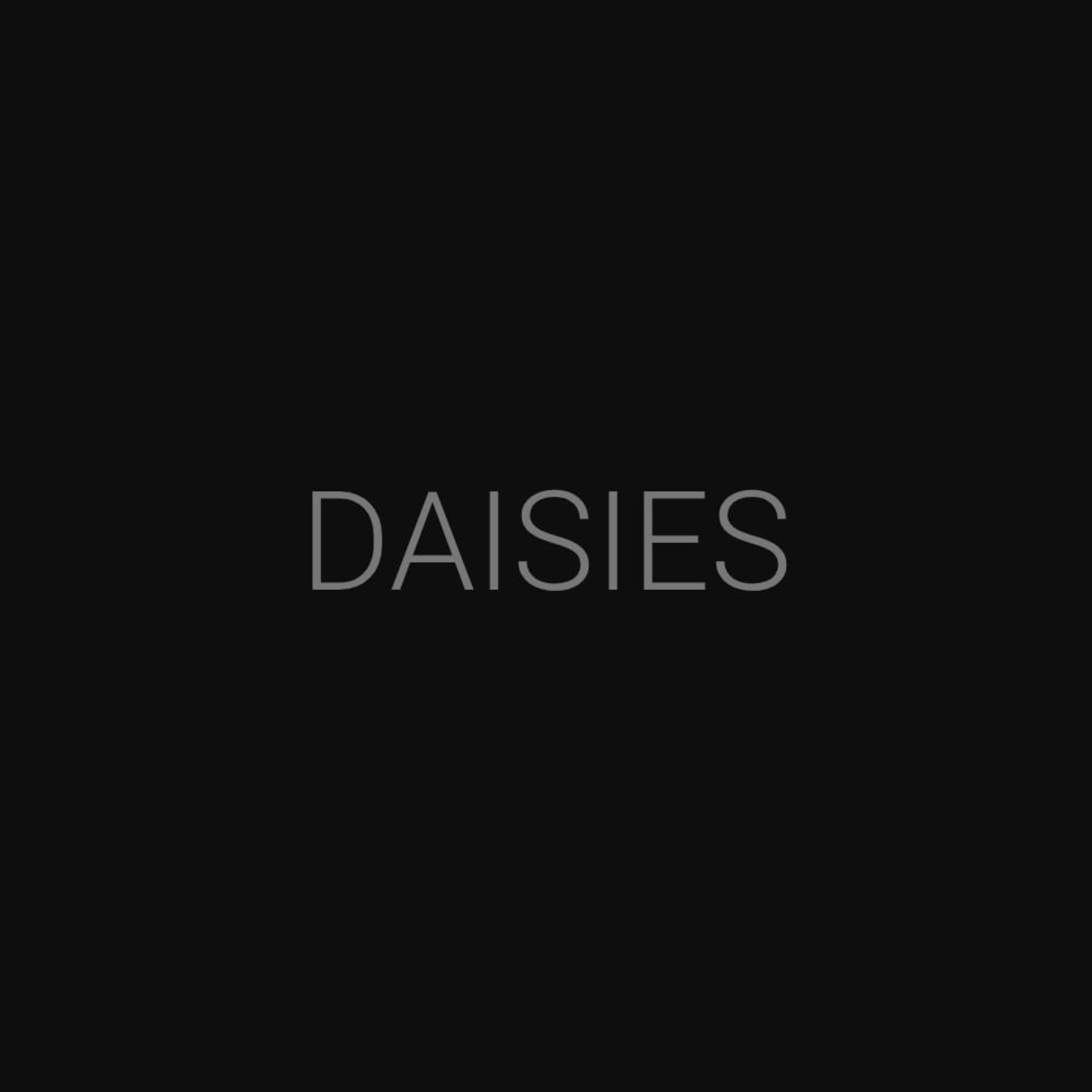 DAISIES artwork