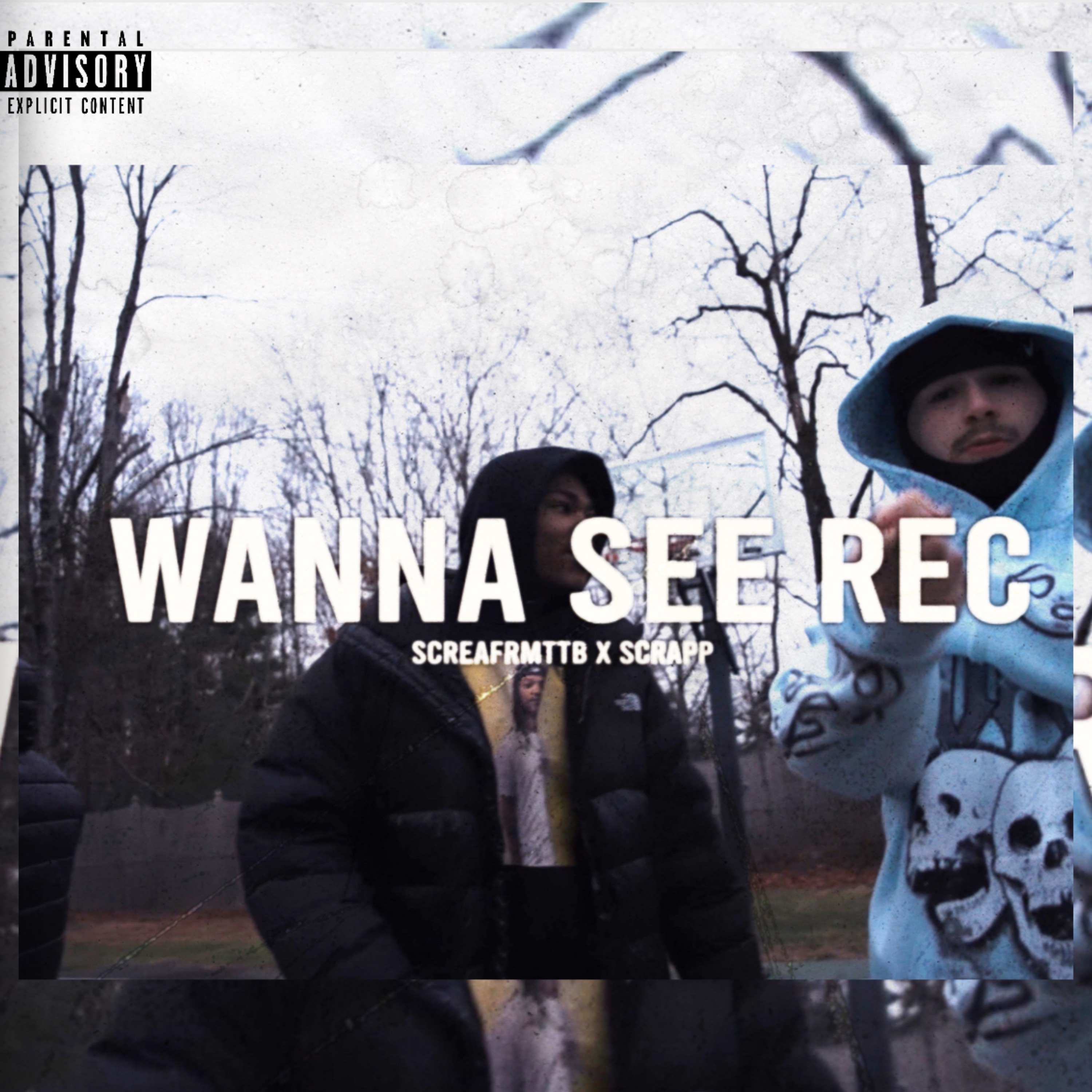 Wanna See Rec artwork