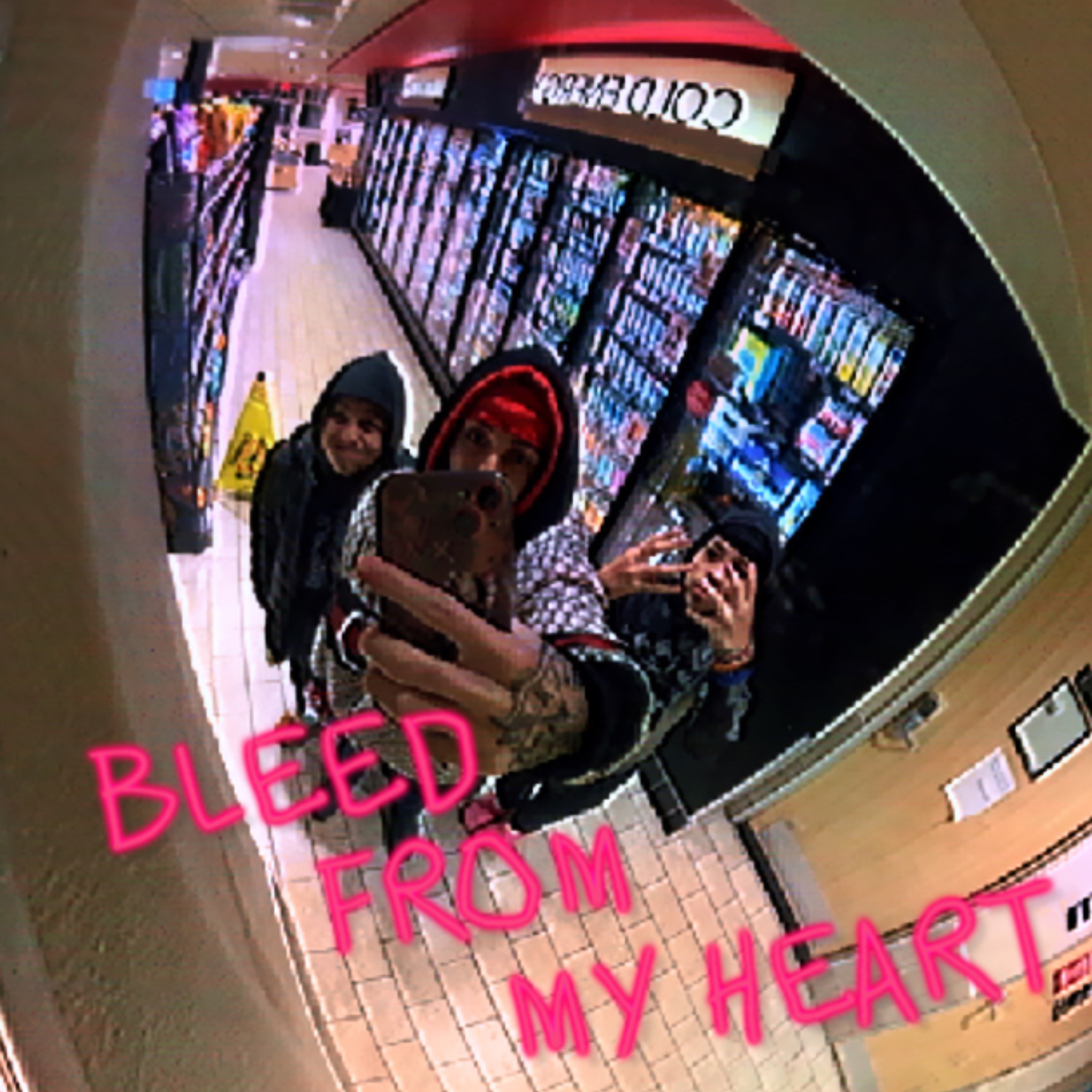 Bleed From My Heart artwork