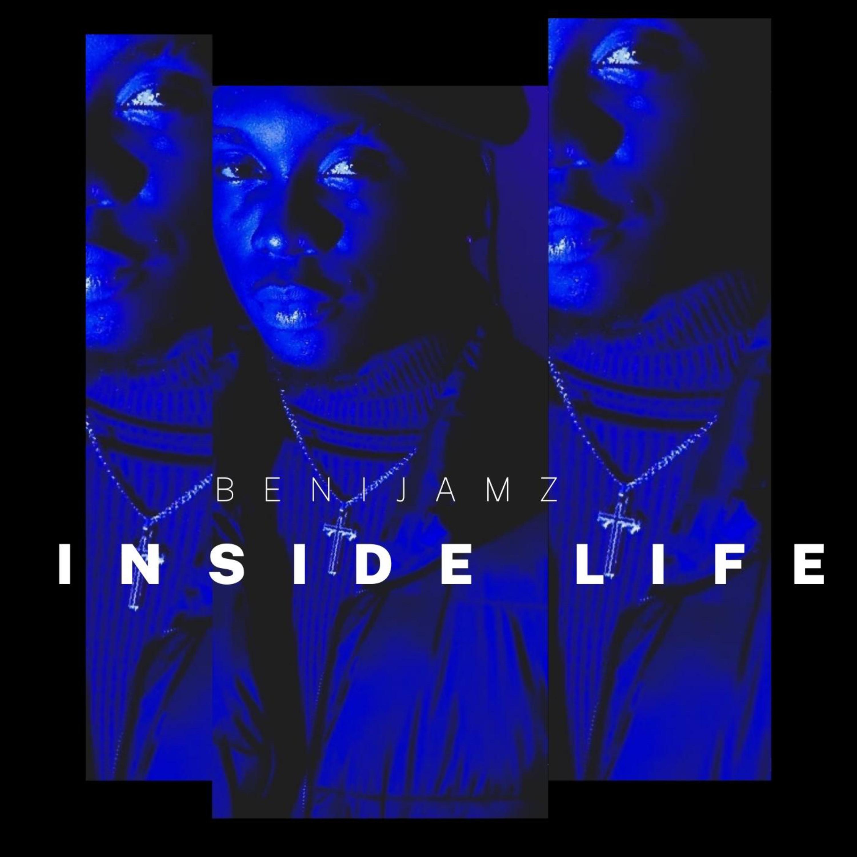 Inside life by Benijamz cover art