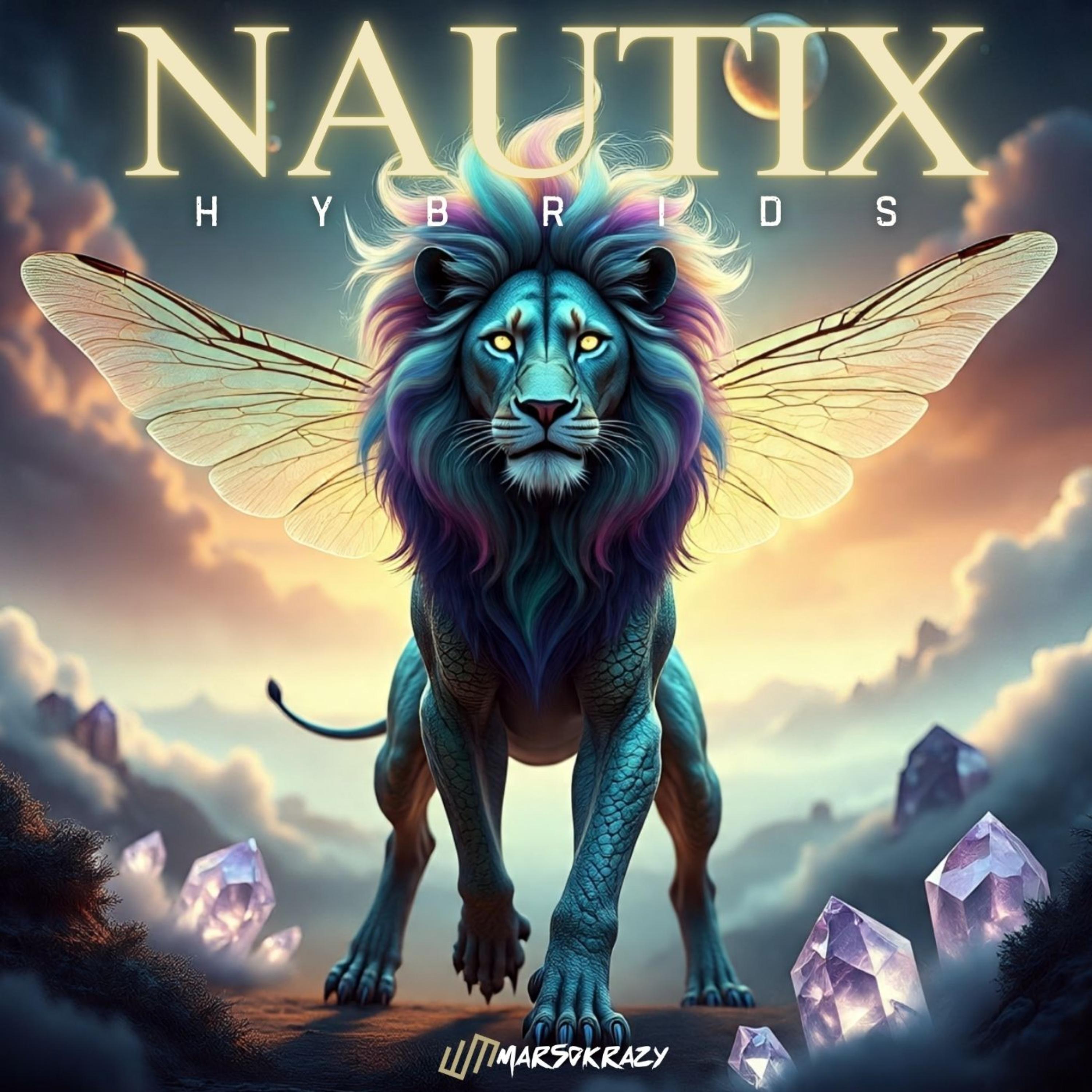 NAUTIX HYBRIDS artwork