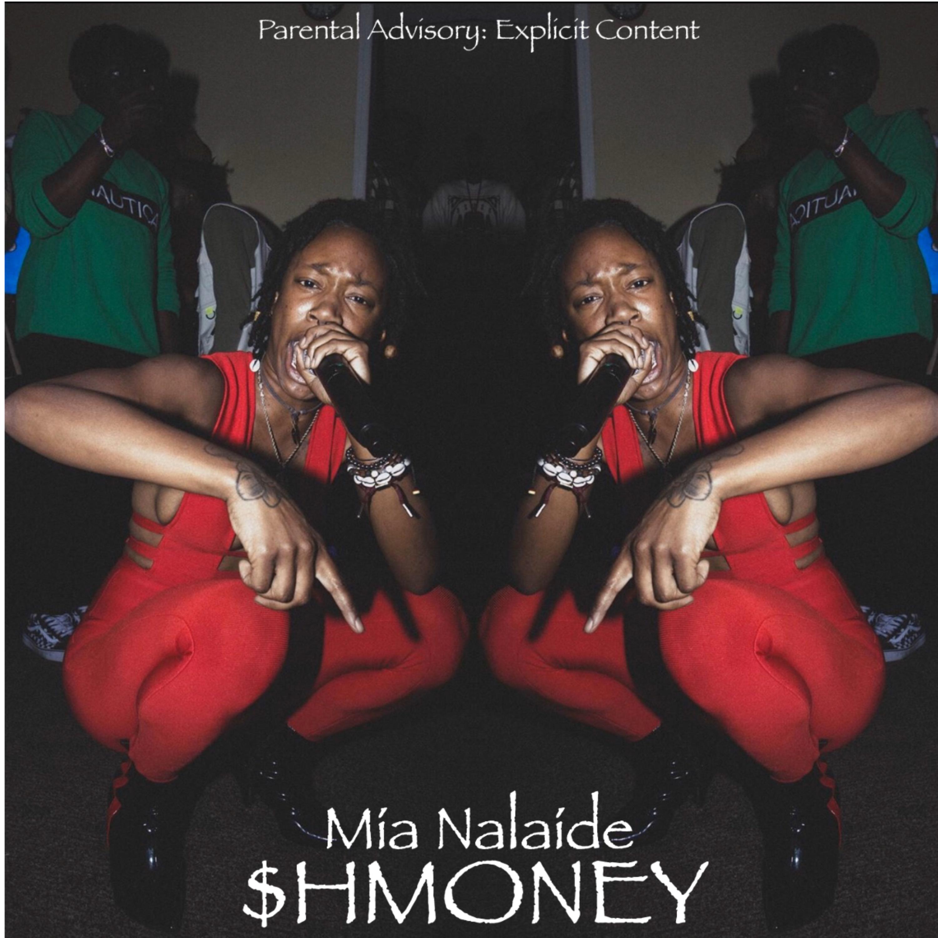 $HMONEY artwork