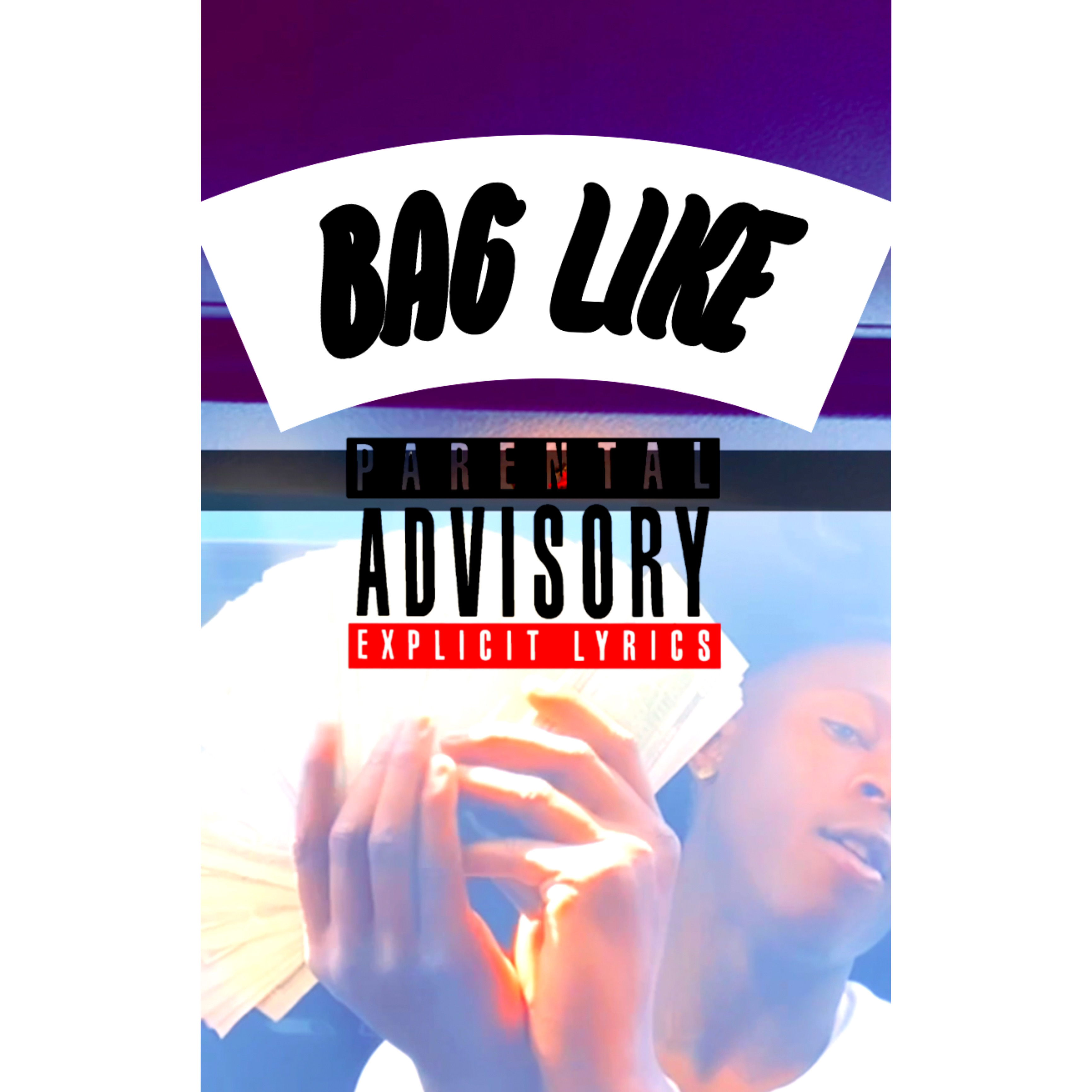 Bag Like artwork