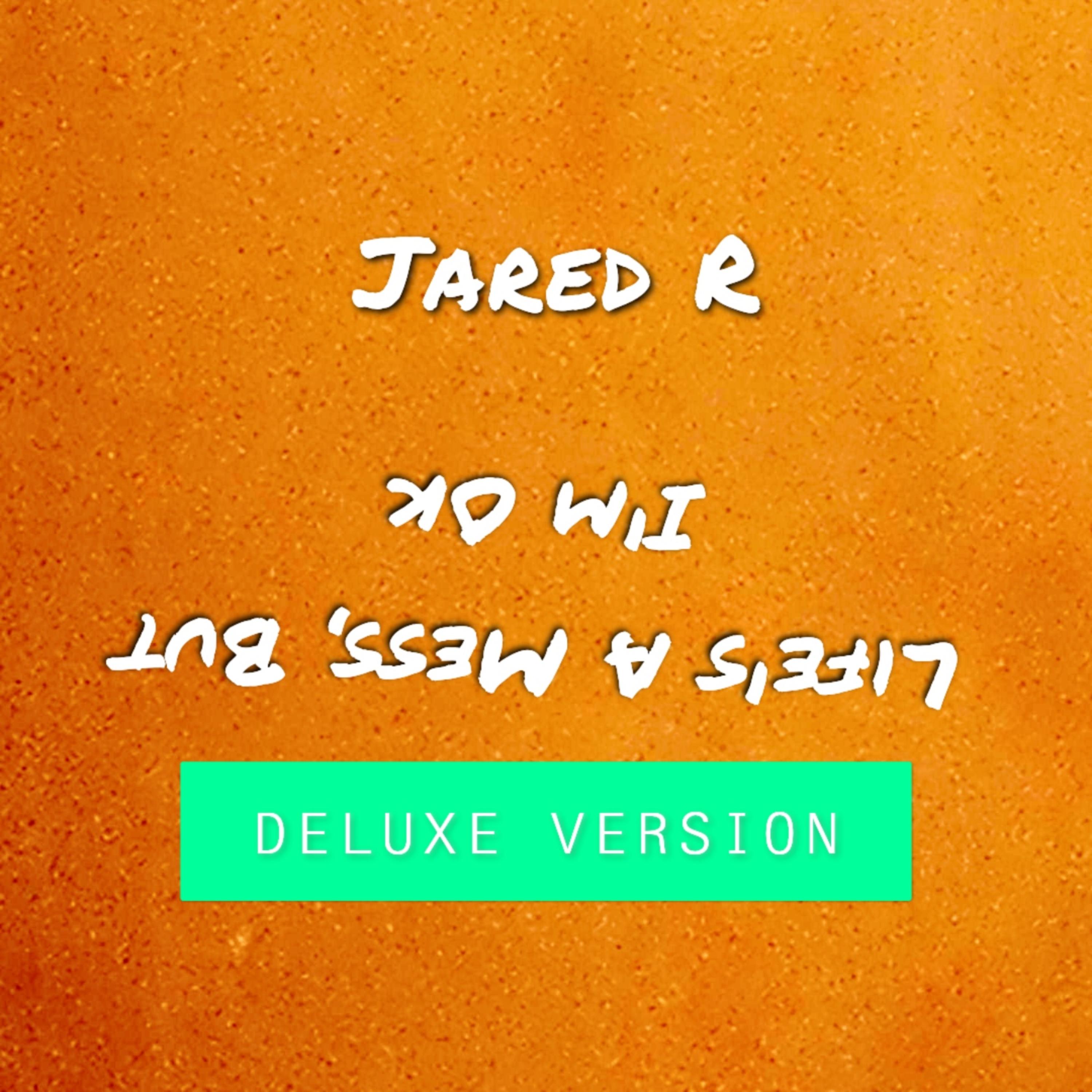 Life's A Mess, But I'm Ok. (Deluxe) artwork