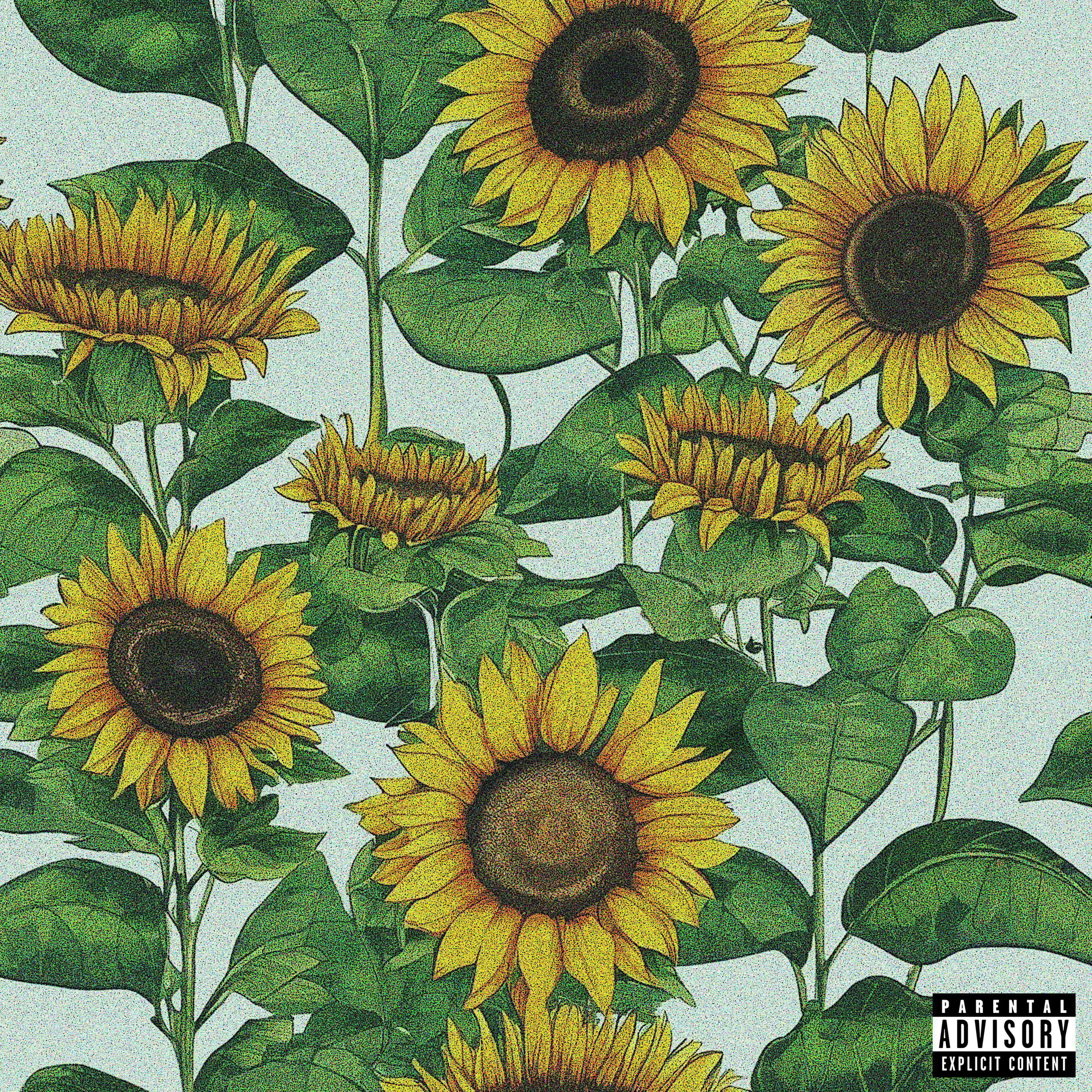 Girassol artwork