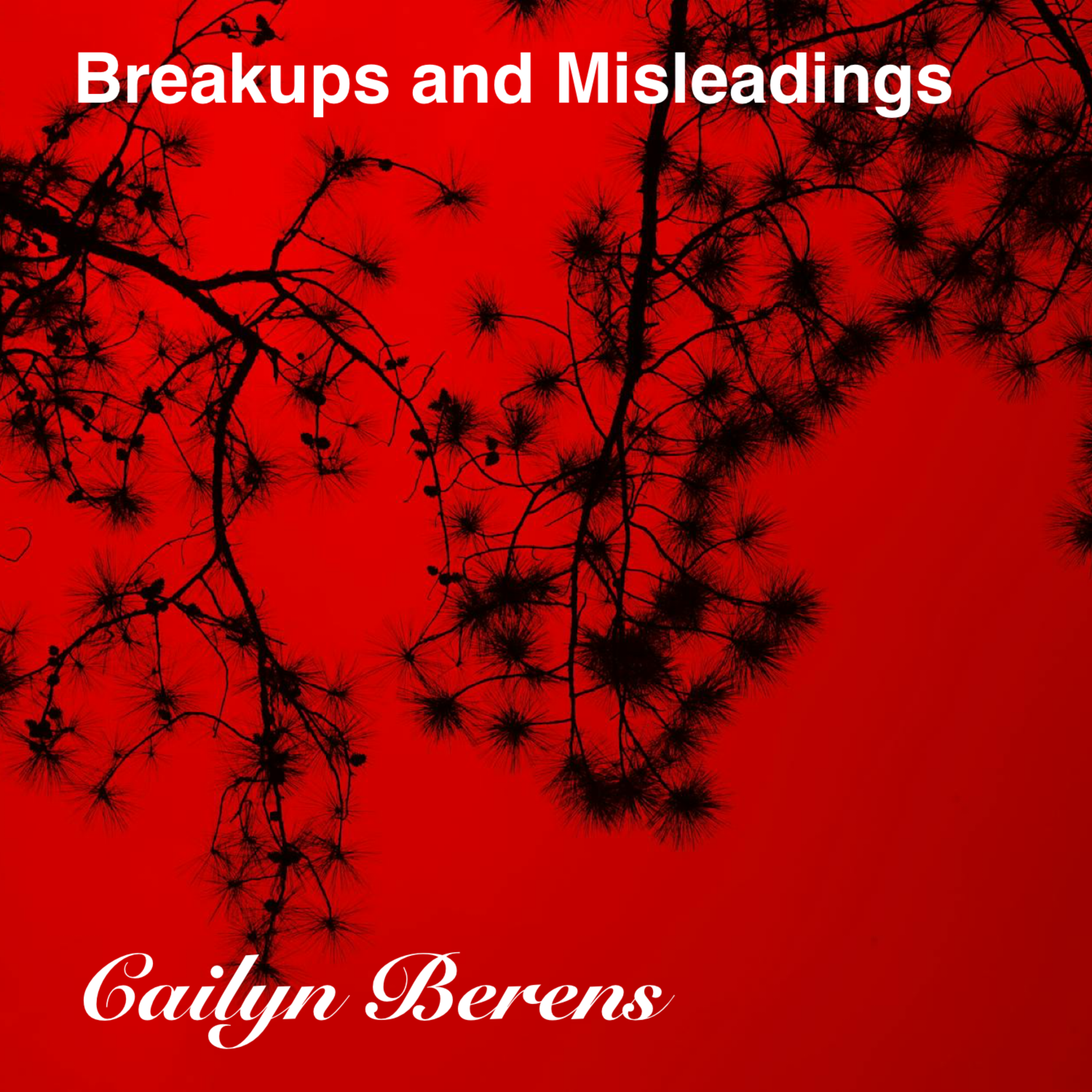 Breakups And Misleadings artwork