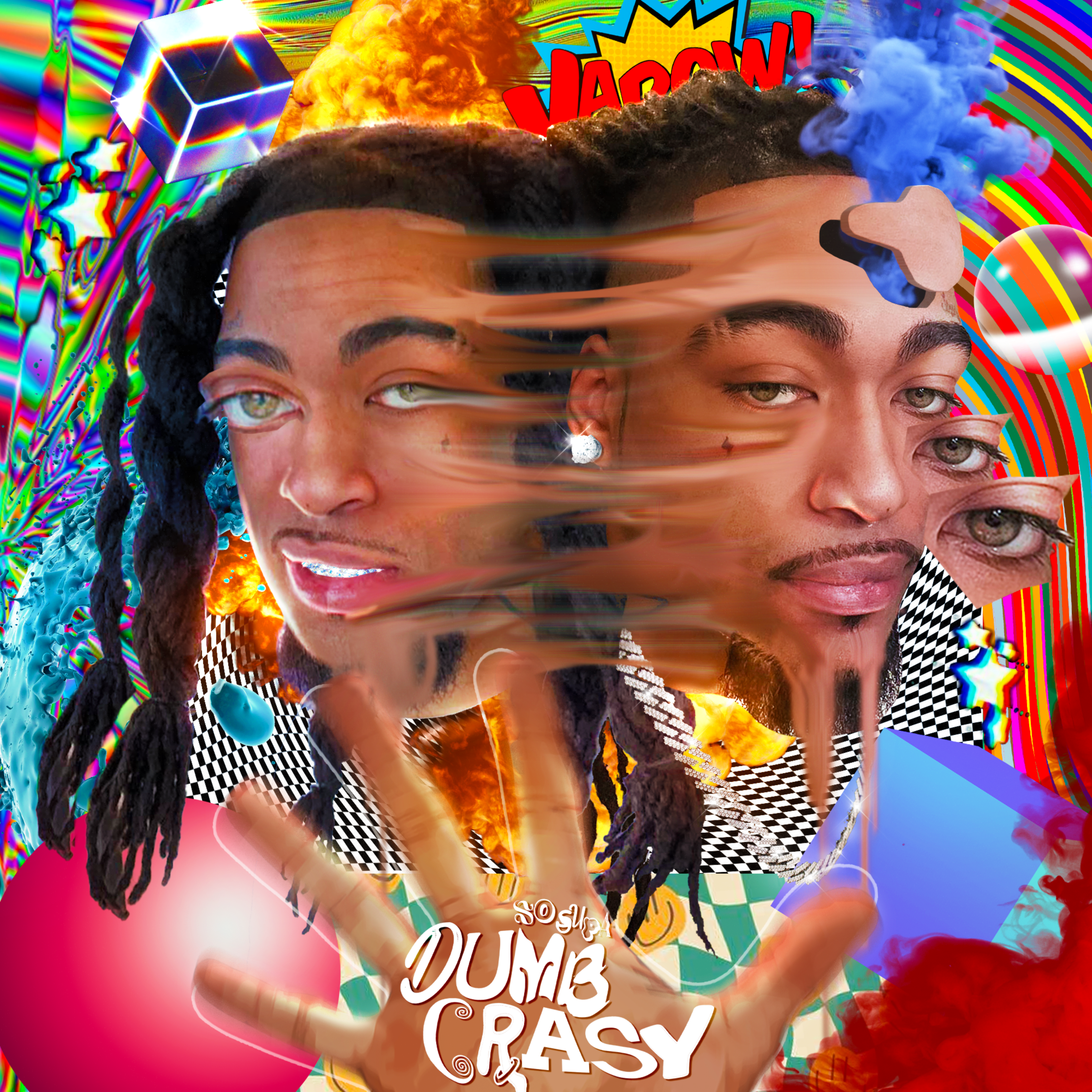 DUMB CRASY 5 artwork