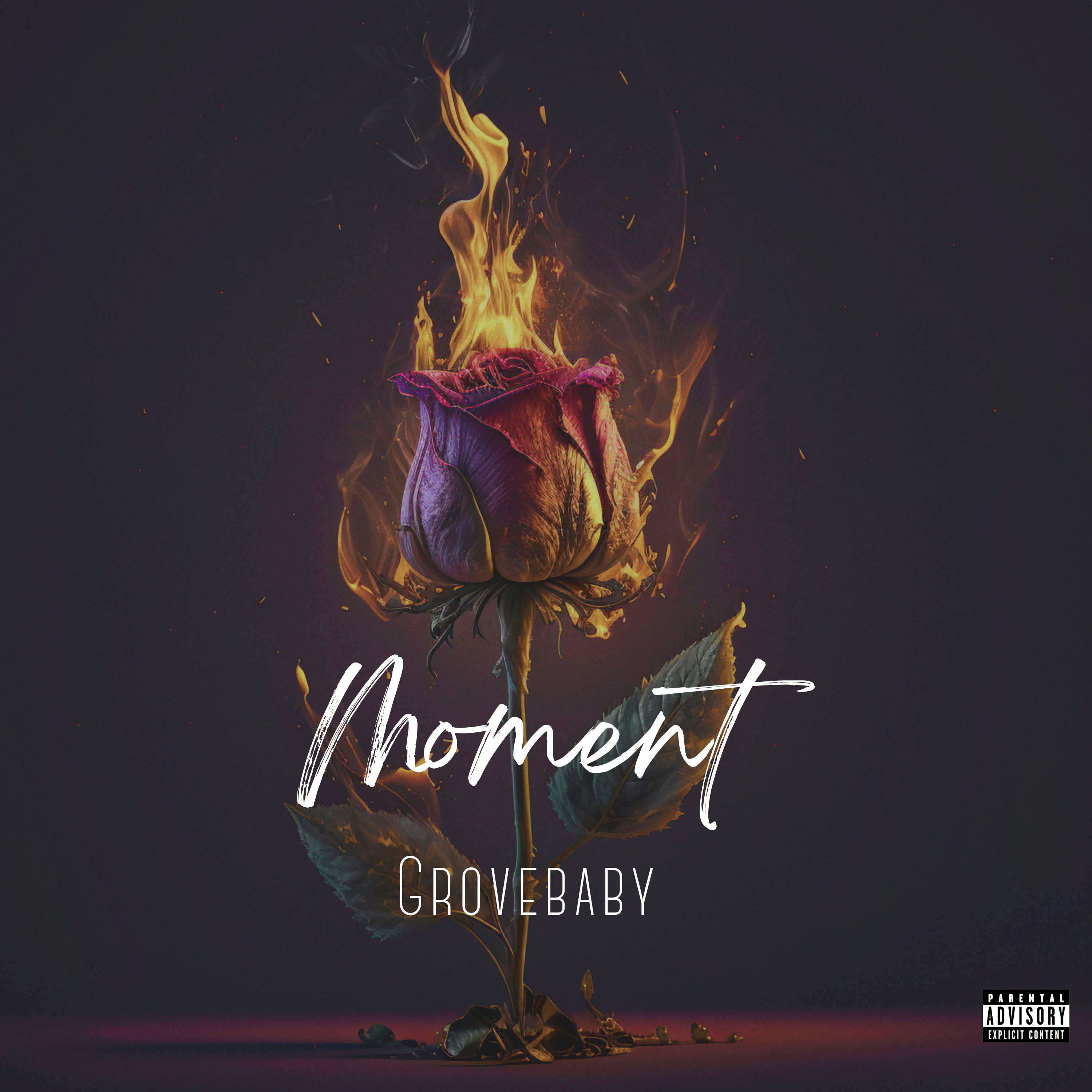 Moment artwork