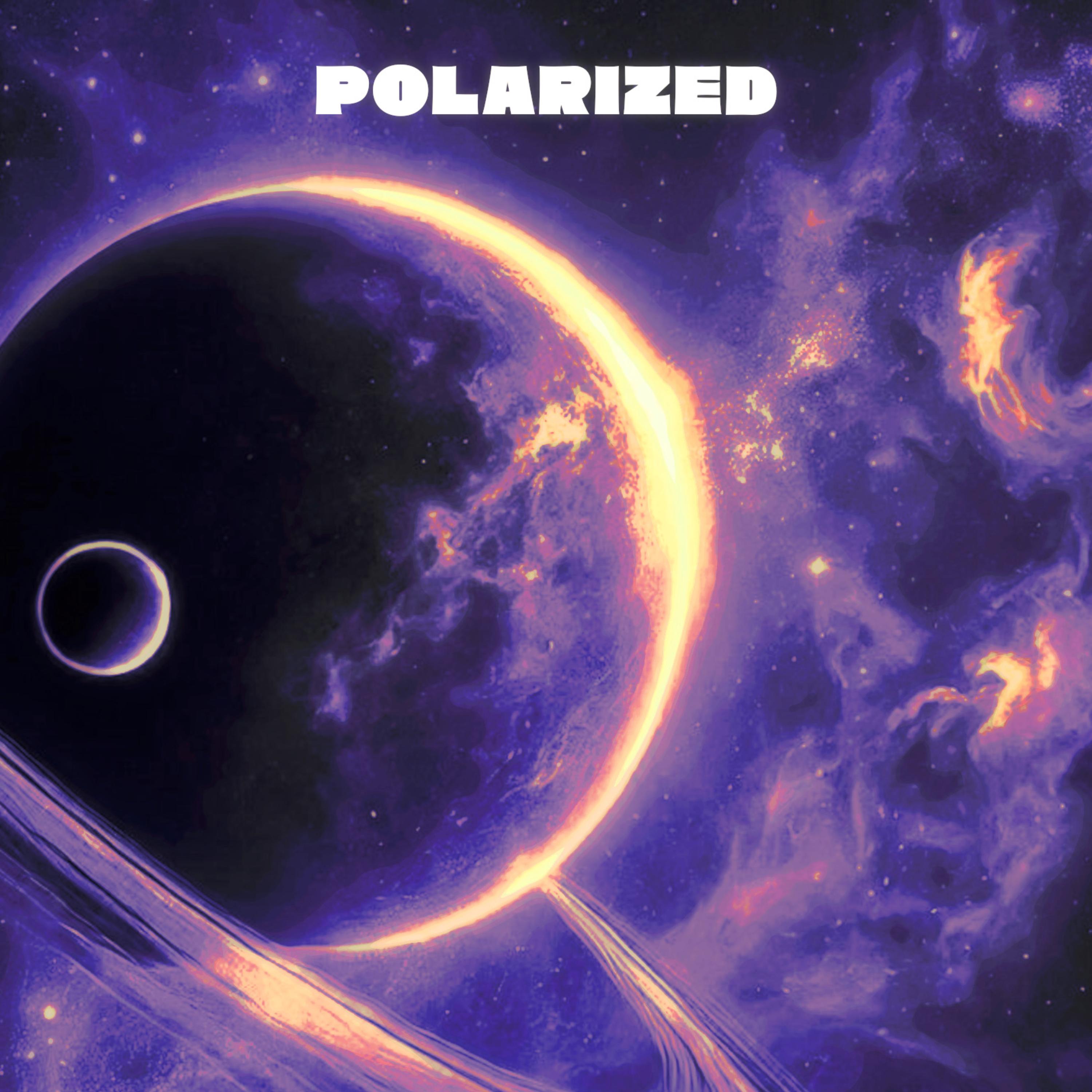 POLARIZED artwork