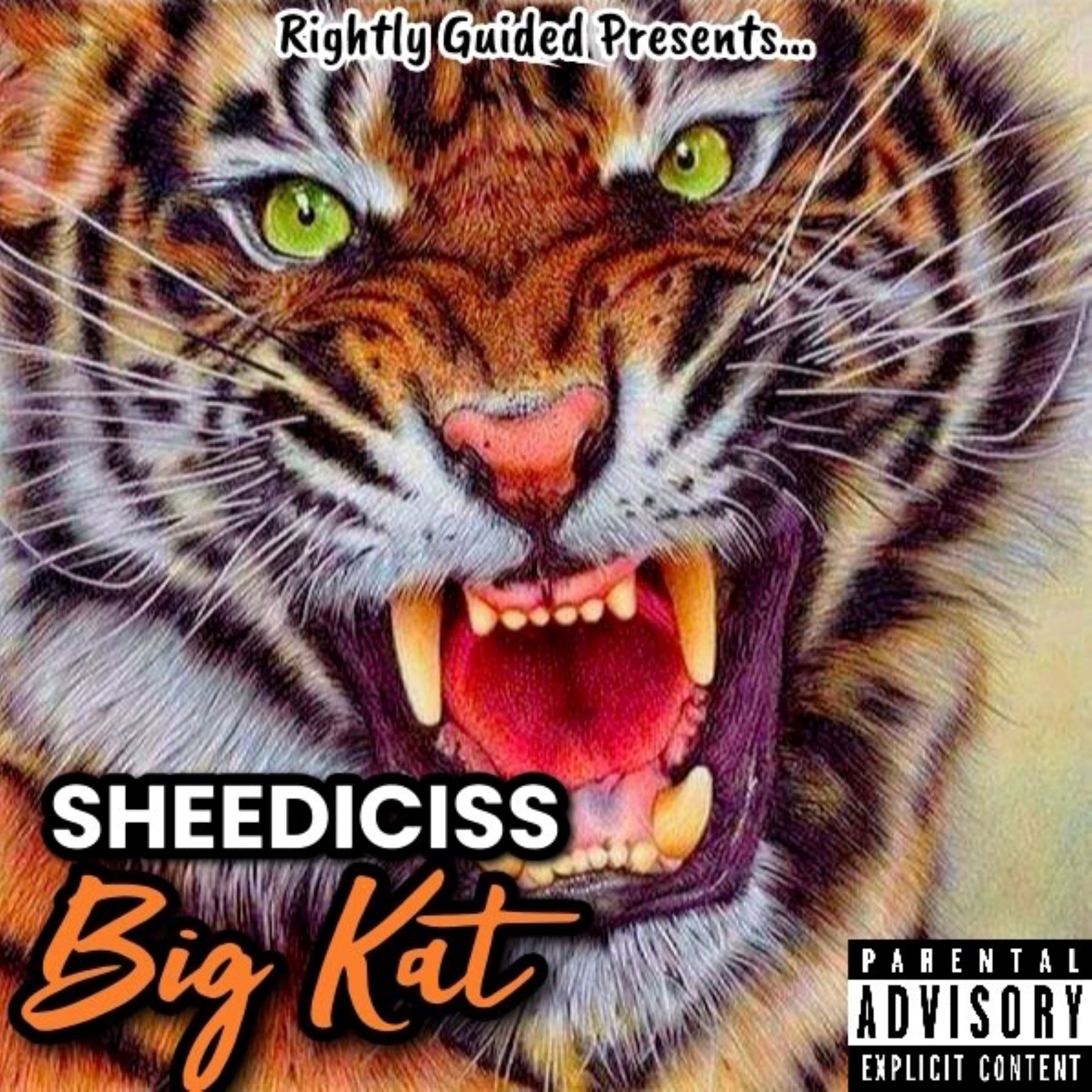 BIG KAT artwork
