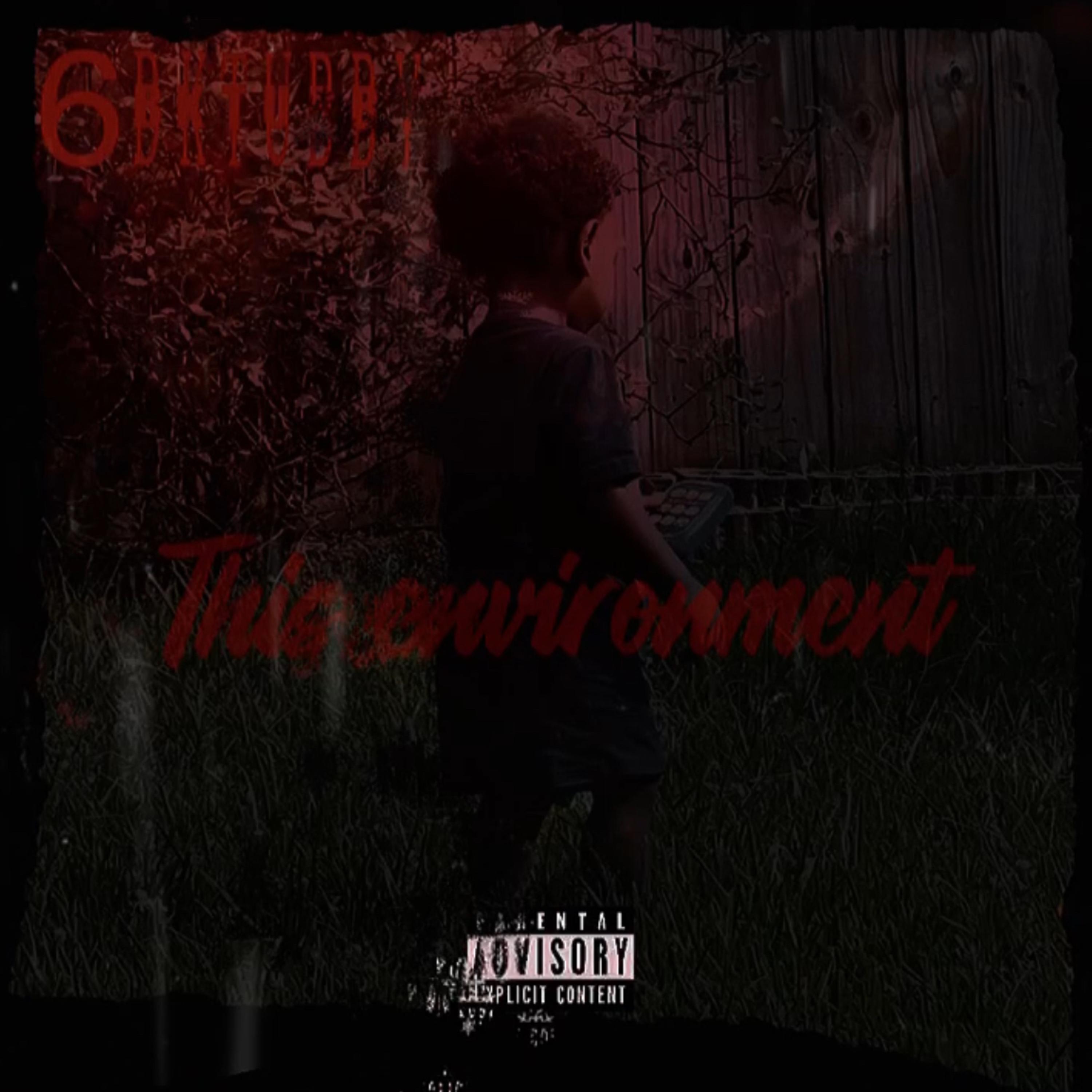 THIS ENVIRONMENT artwork