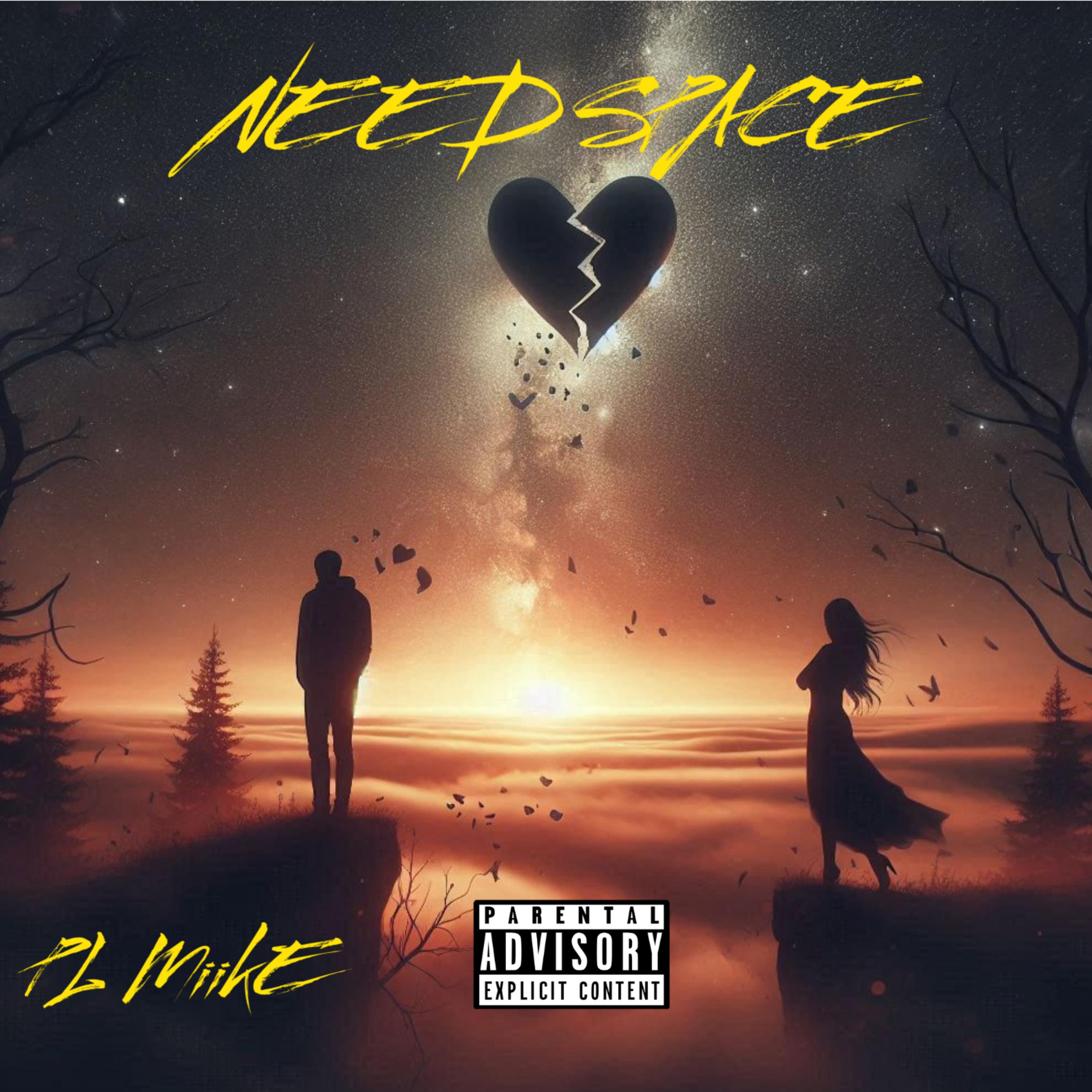 Need Space artwork