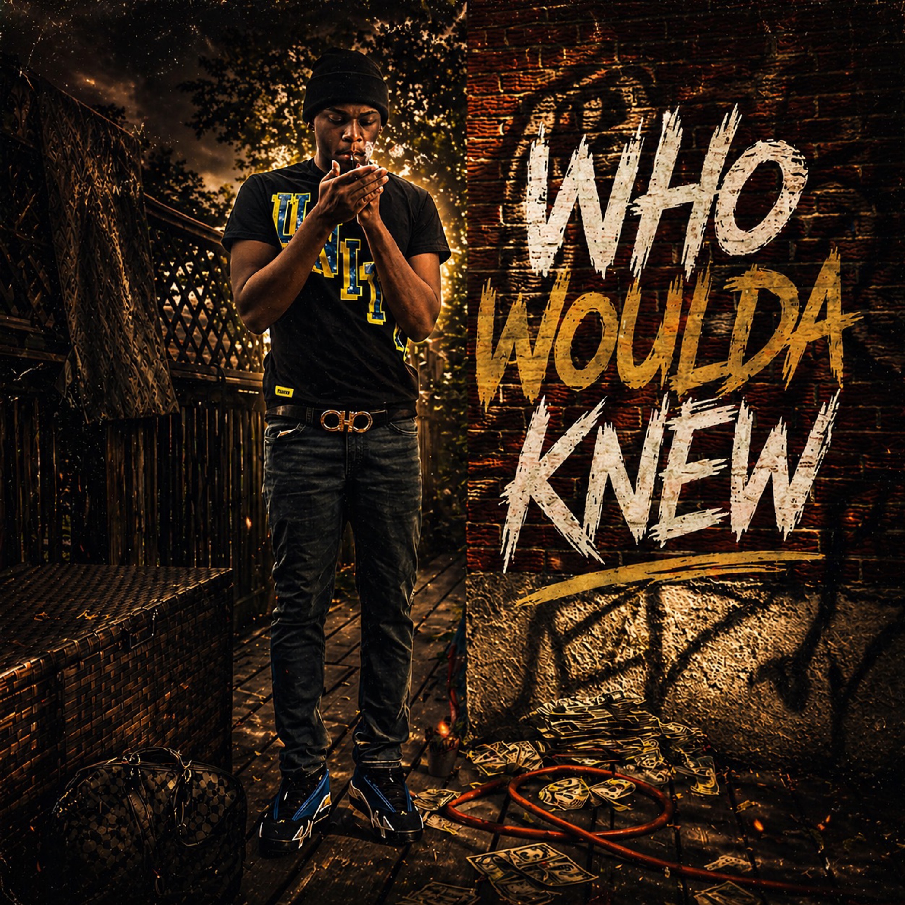 Who Woulda Knew artwork