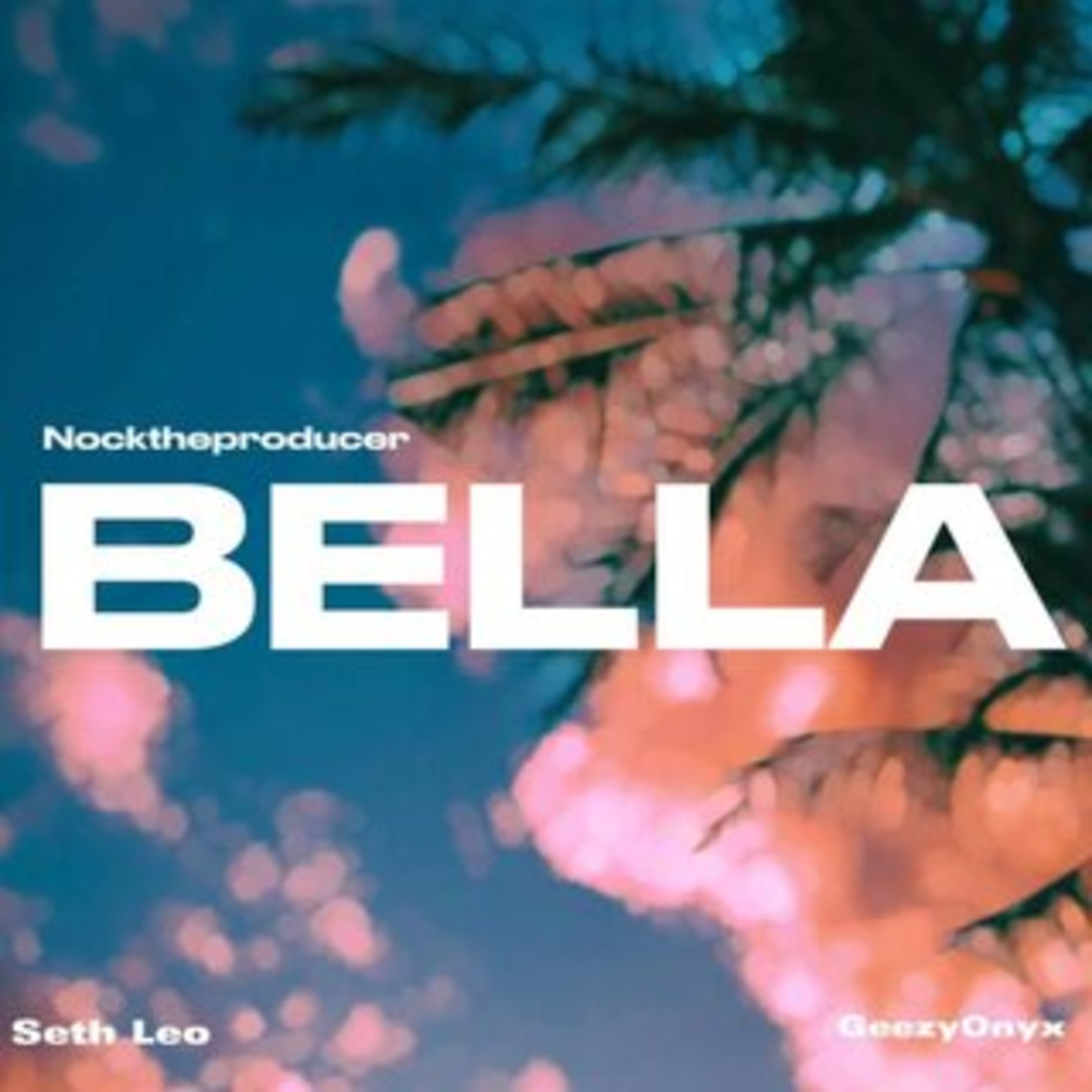 Bella by Seth Leo cover art