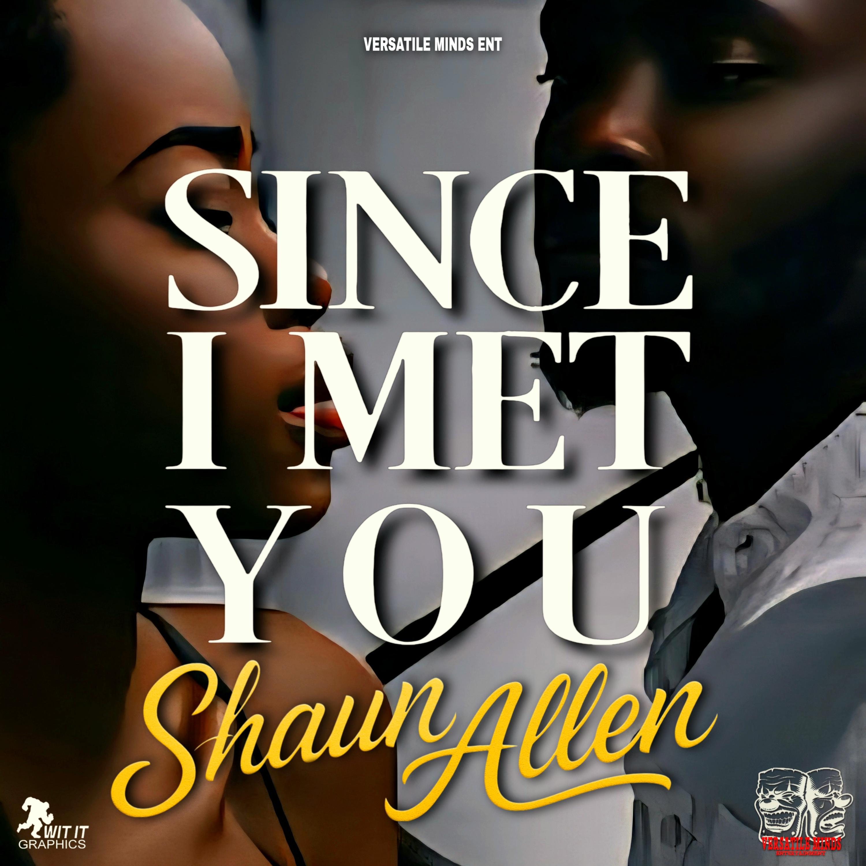 SINCE I MET YOU artwork
