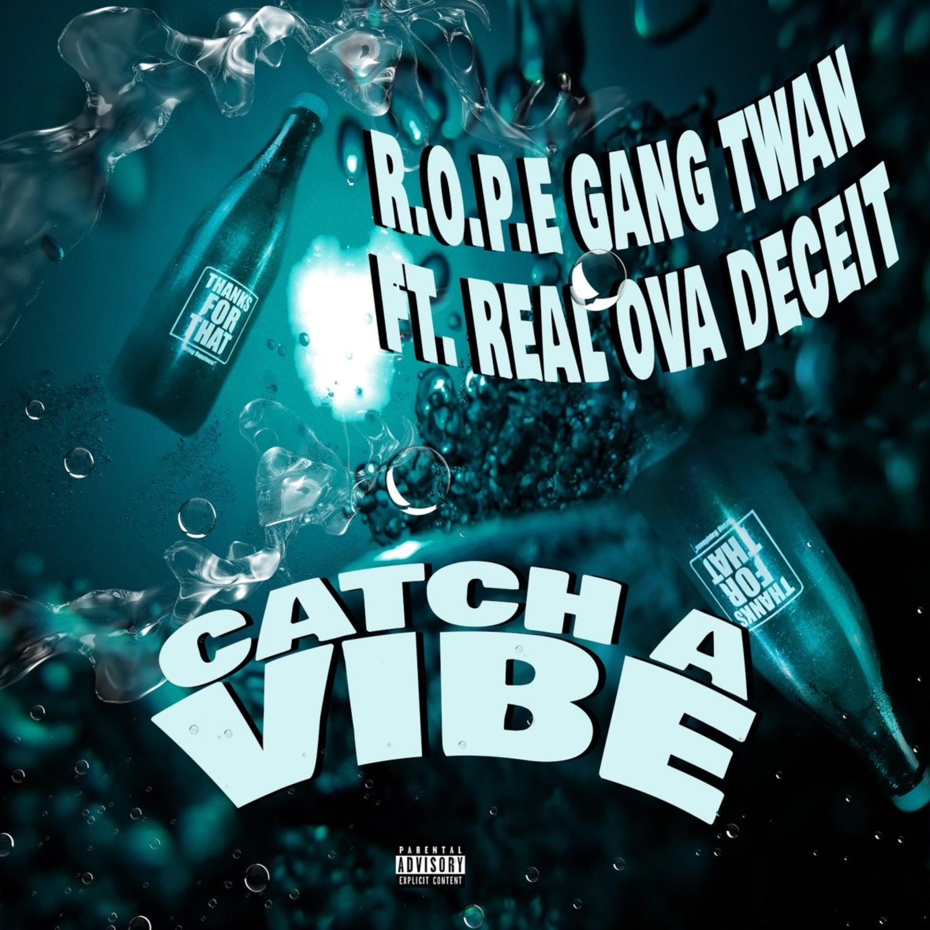 Catch A Vibe artwork
