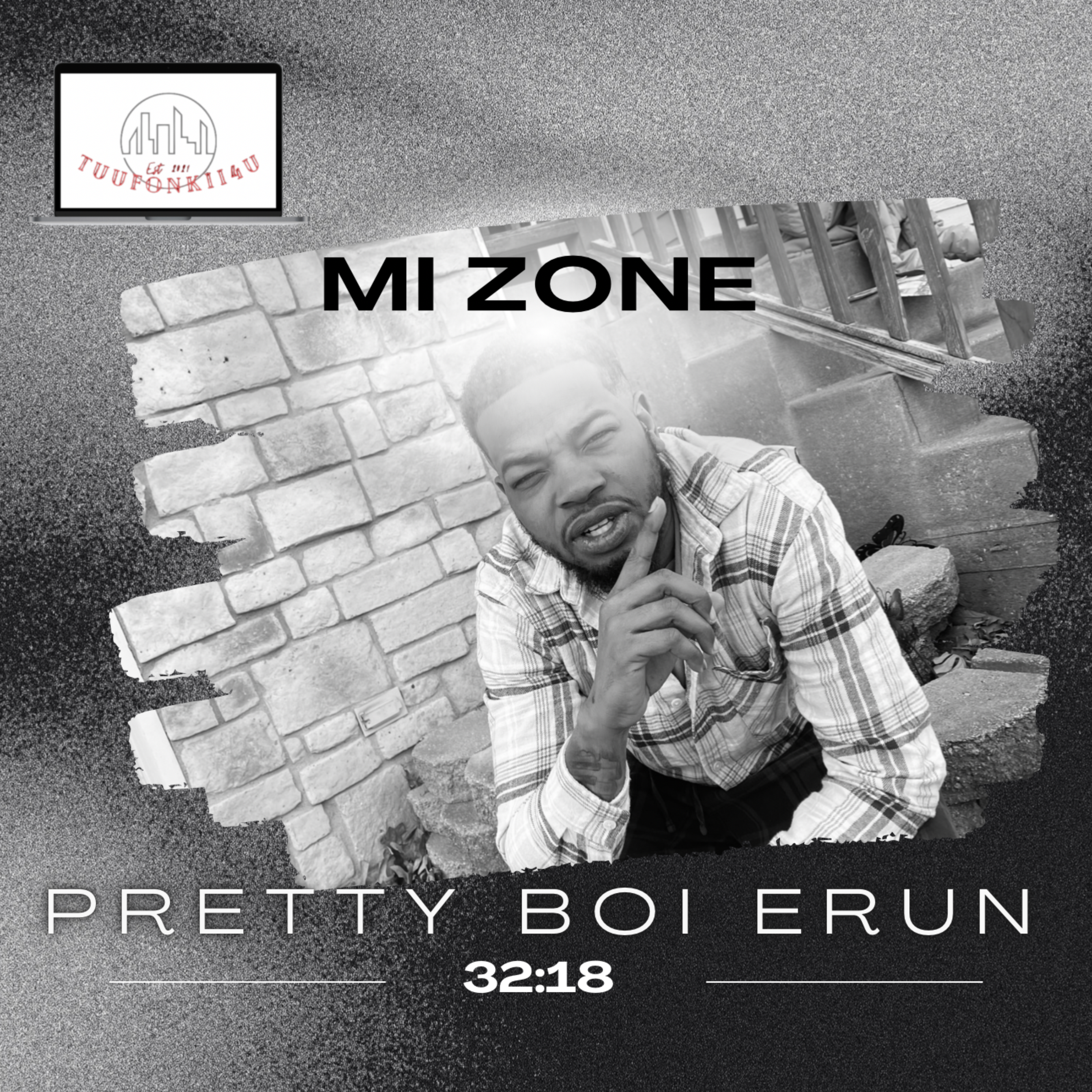 Mi Zone artwork