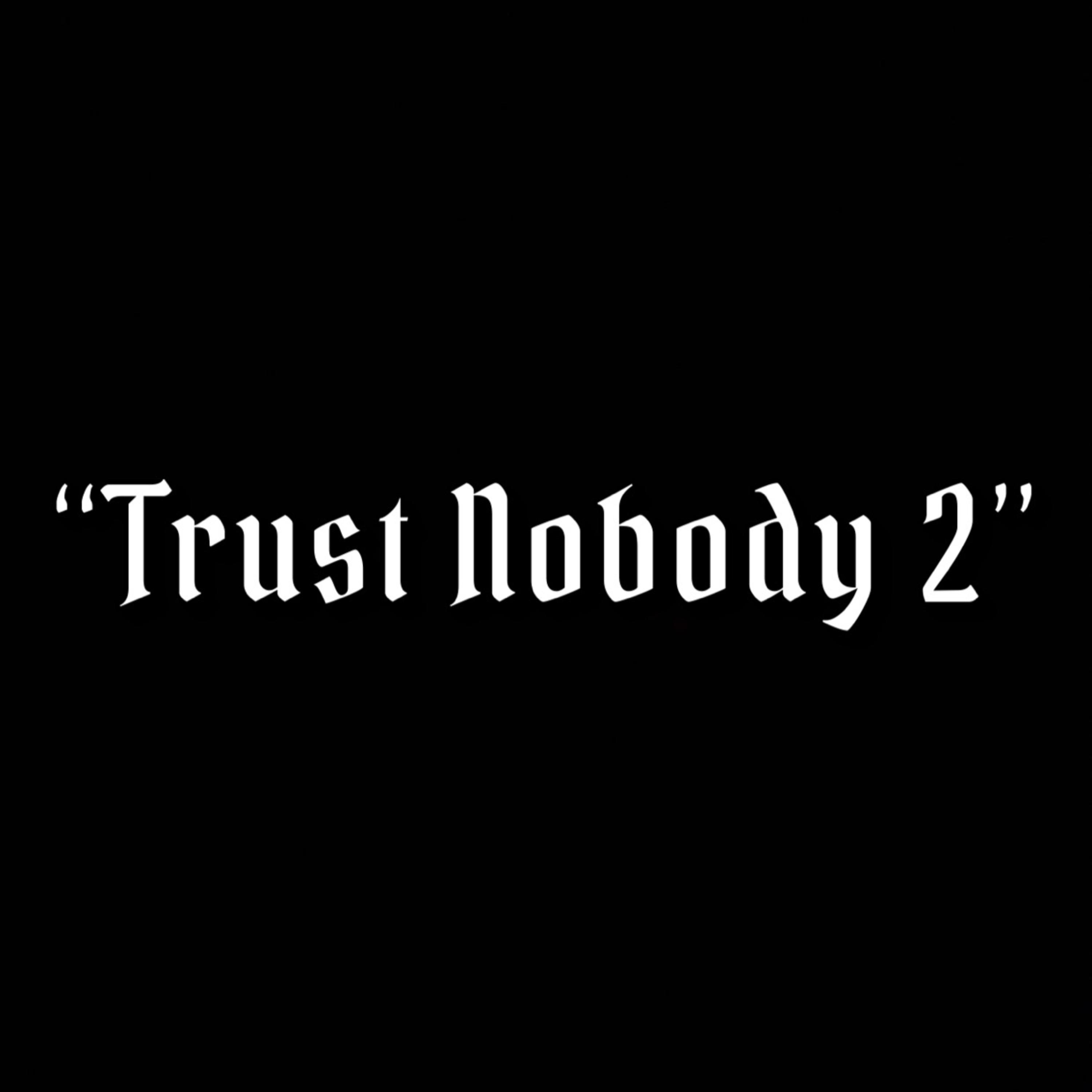 Trust Nobody 2 artwork