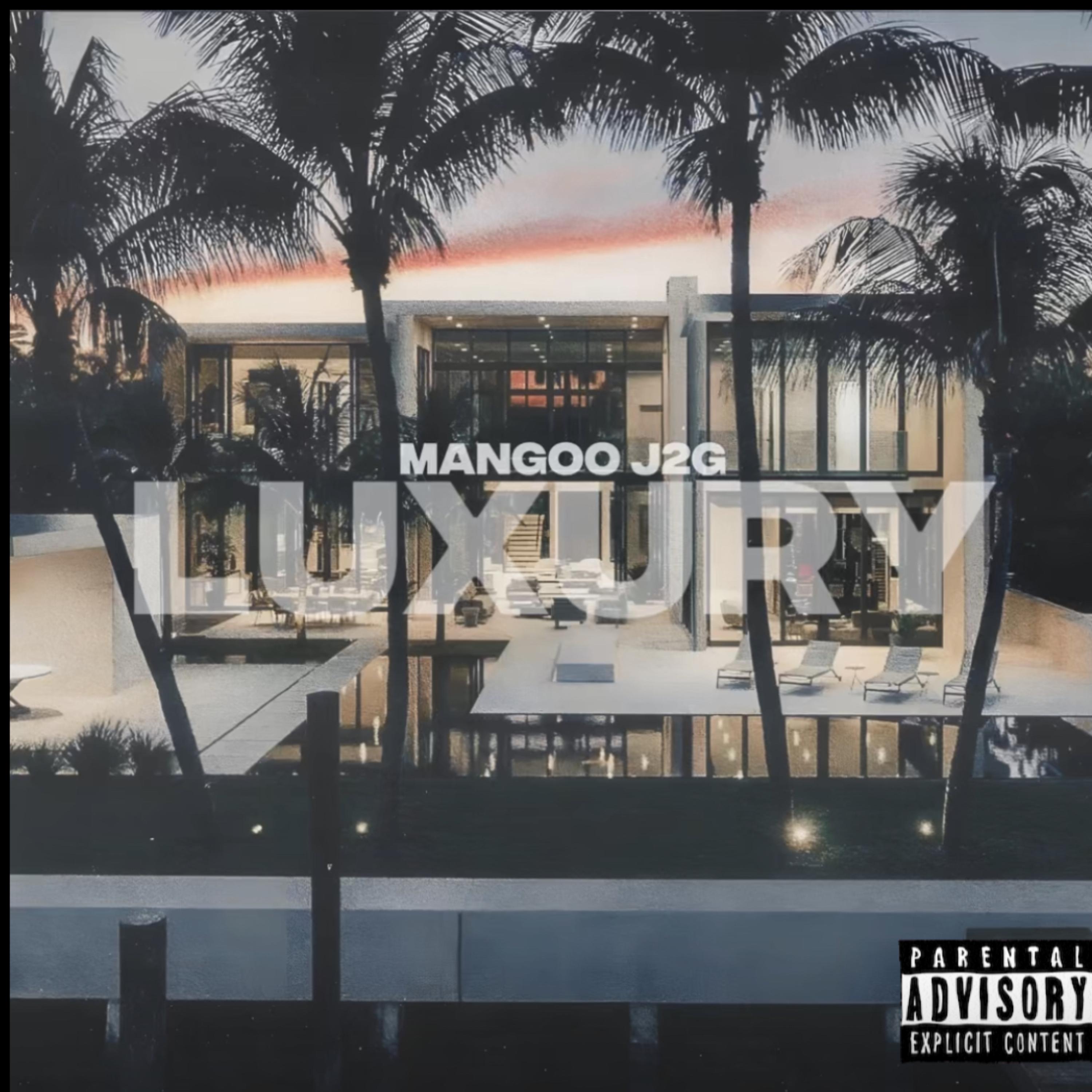 LUXURY artwork
