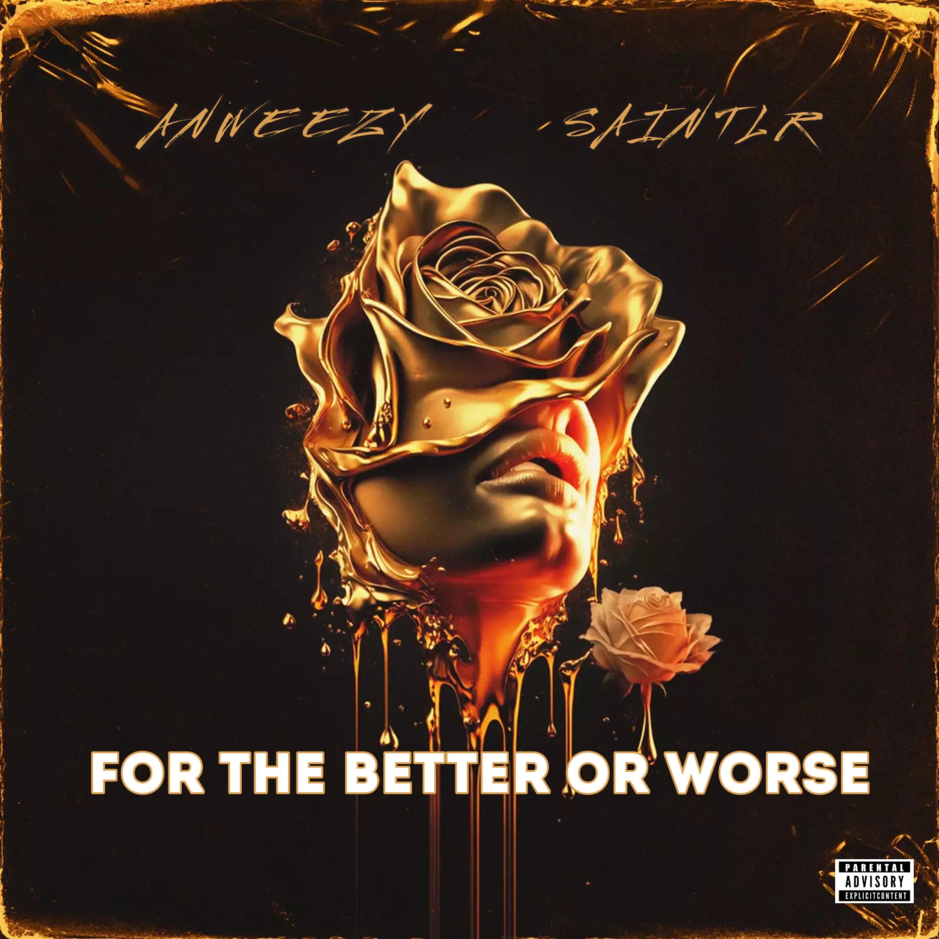 For The Better Or Worse by Anweezy cover art