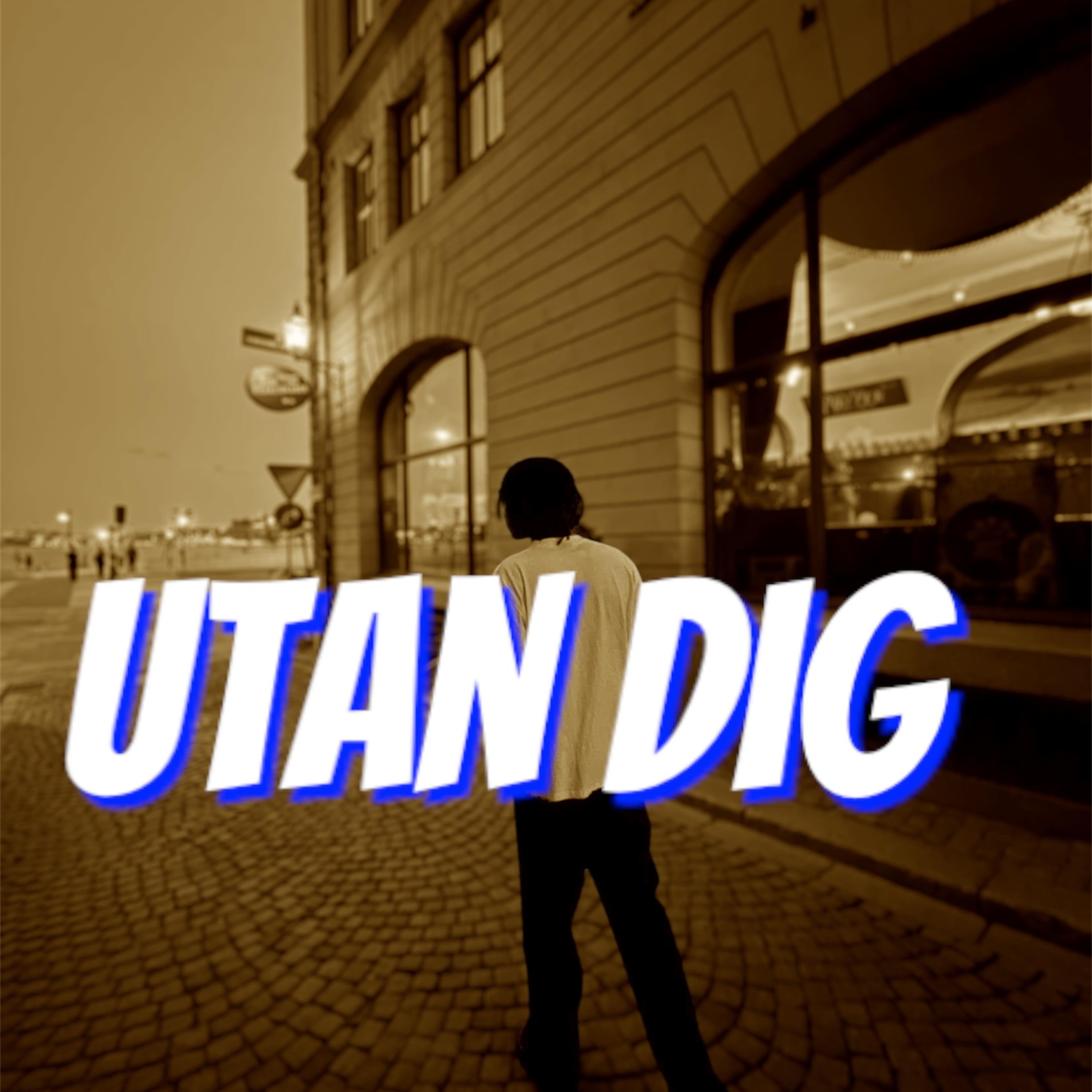 Utan DIG artwork