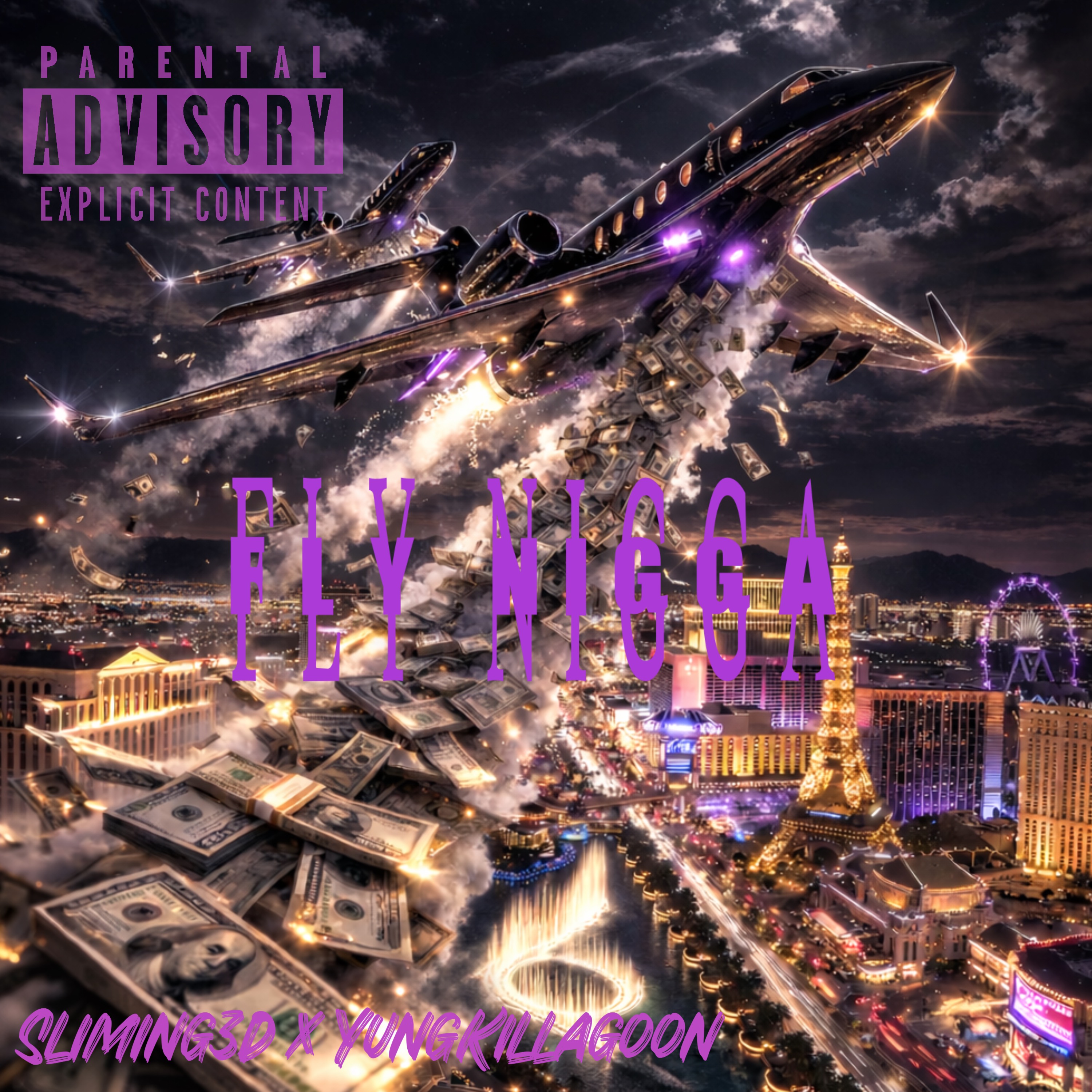 Fly Nigga artwork