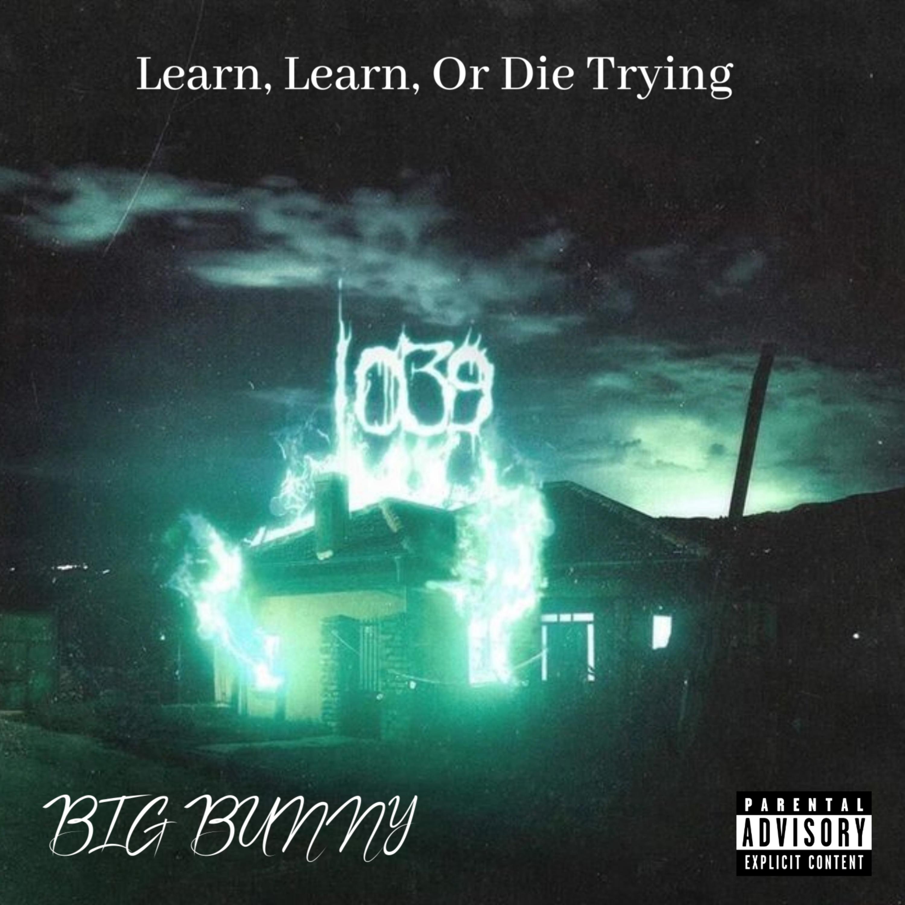 Learn, Learn, Or Die Trying artwork